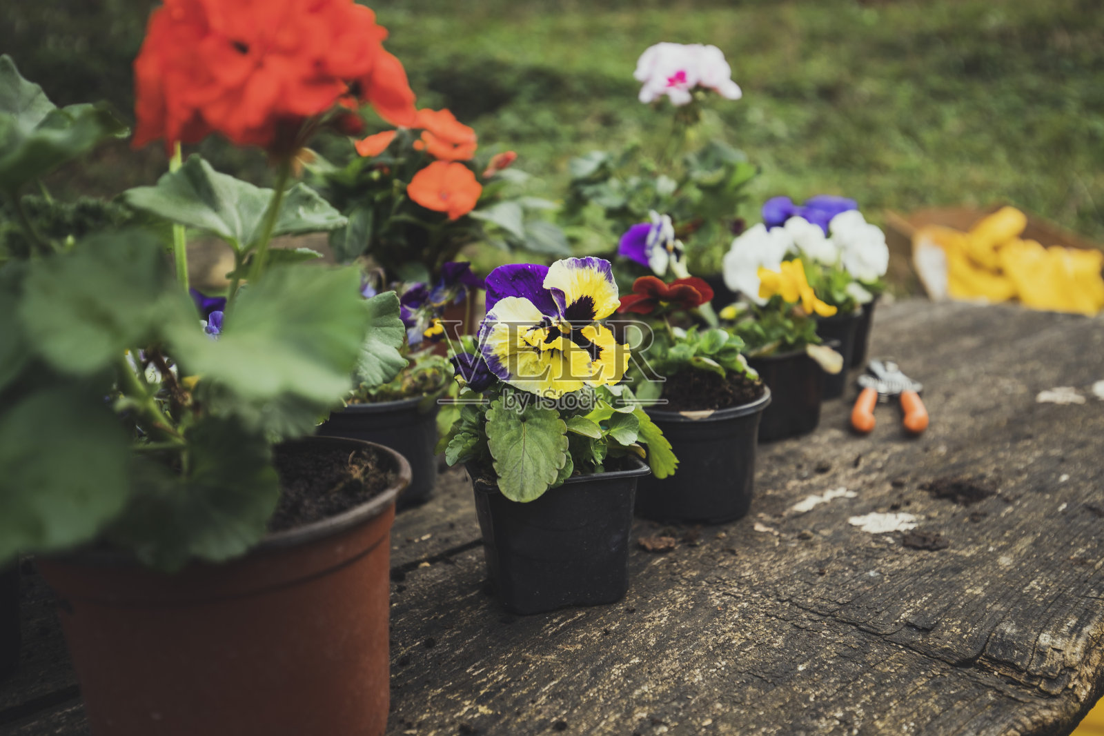 劳累了一天之后照片摄影图片
