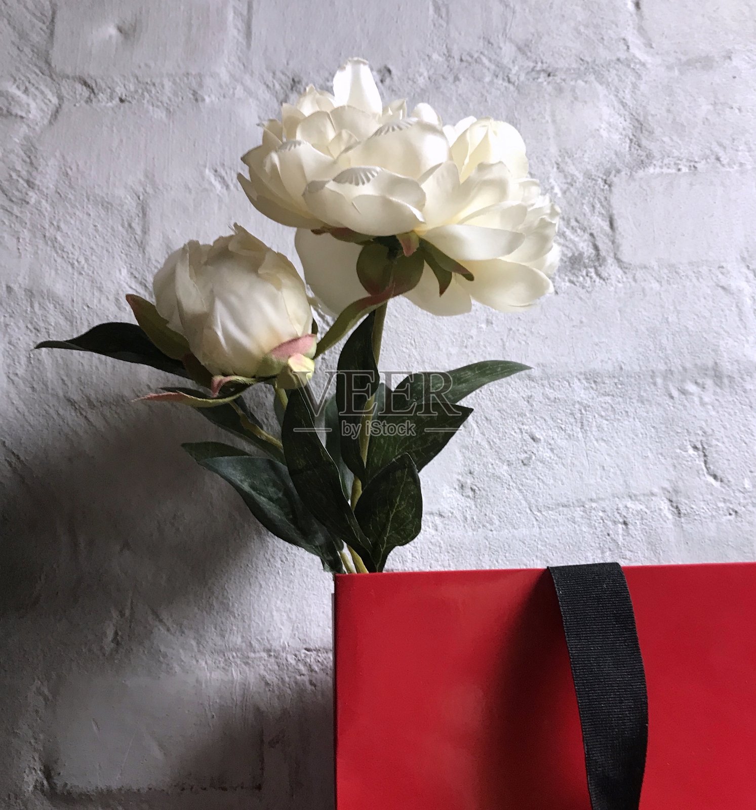《静物》红纸袋白牡丹2照片摄影图片