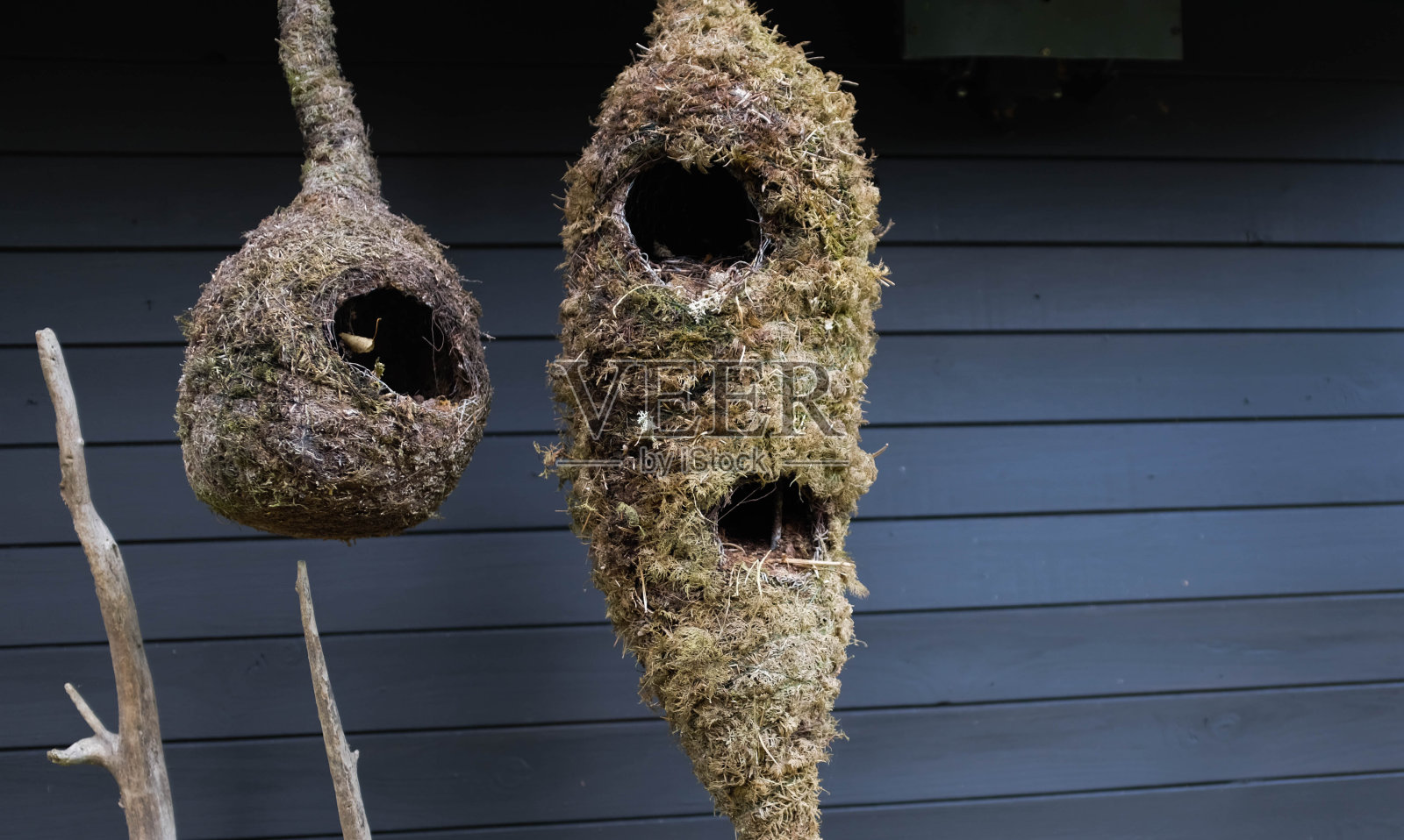 拉脱维亚美丽的自然公园，有瀑布照片摄影图片