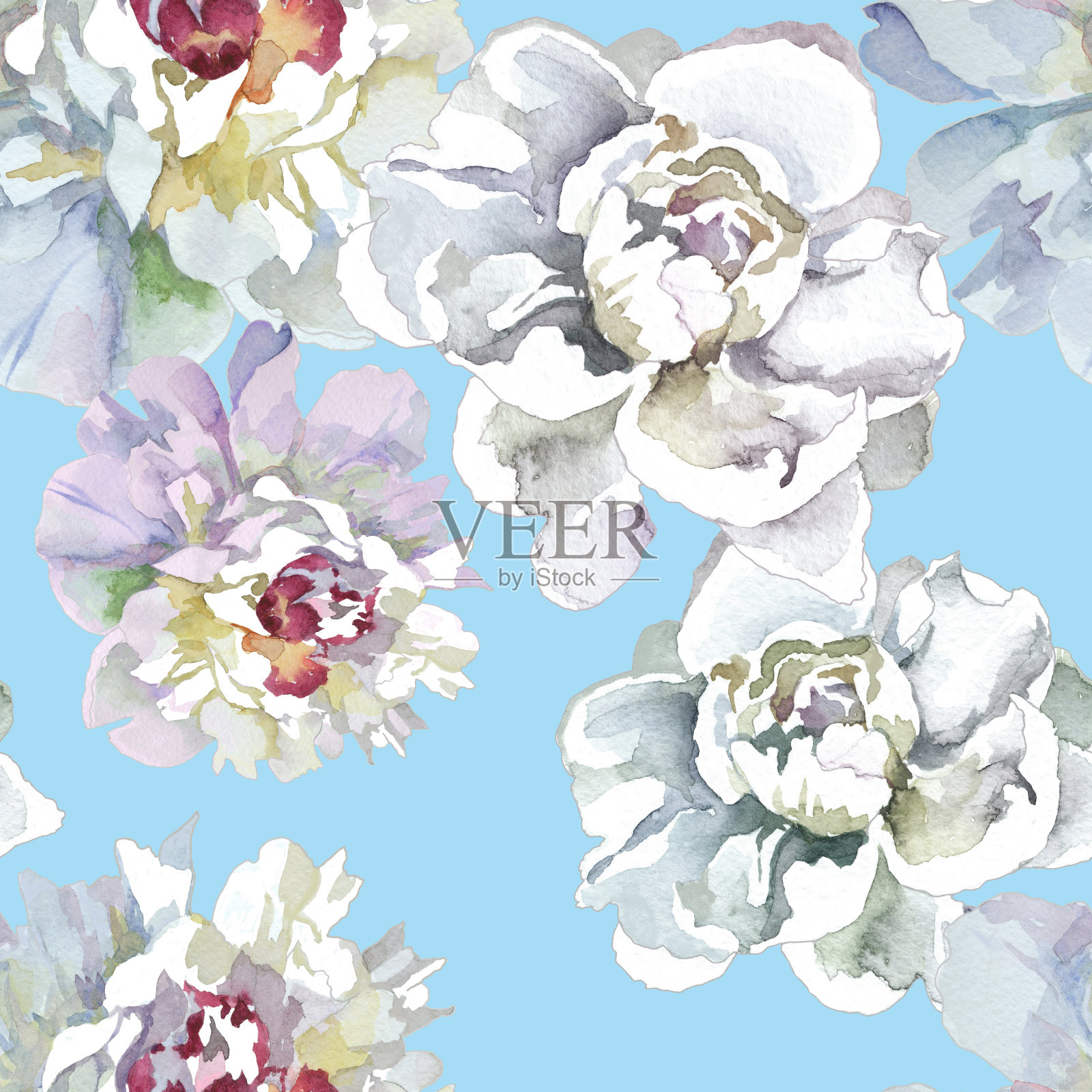 水彩白牡丹天蓝色无缝图案。插画图片素材