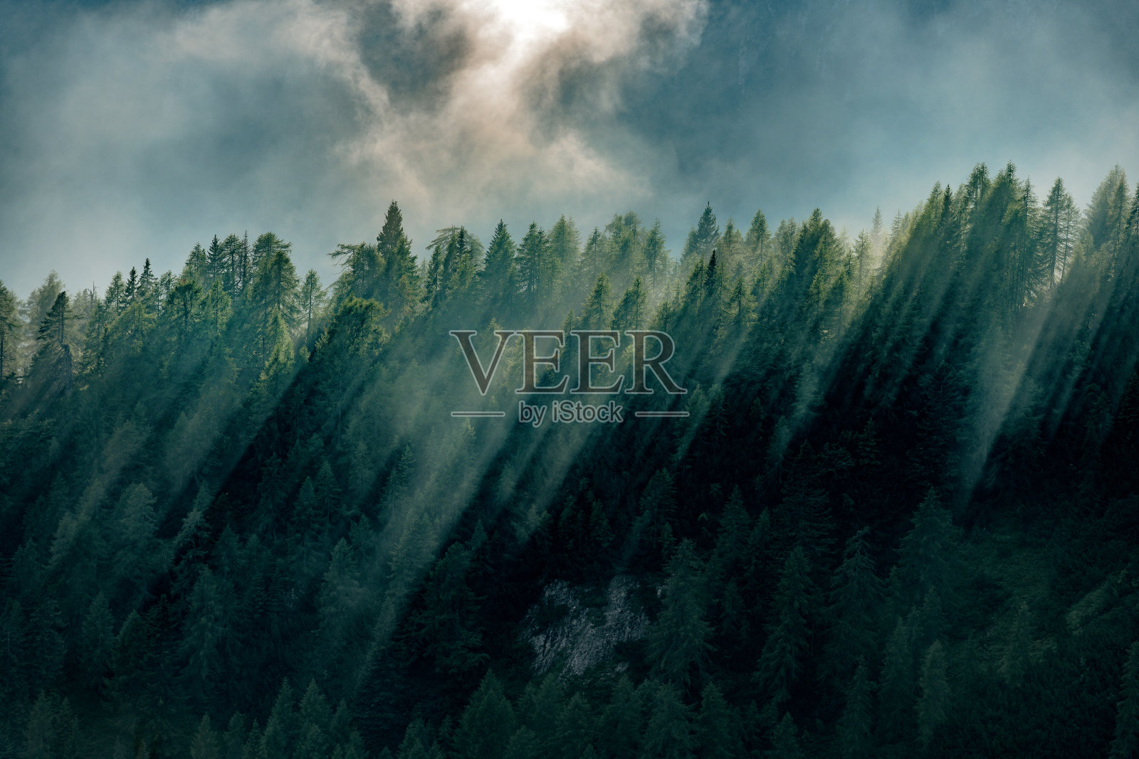 傍晚的雾与阳光在树木繁茂的山，芒加特山，Primorska，朱利安阿尔卑斯，斯洛文尼亚，欧洲照片摄影图片