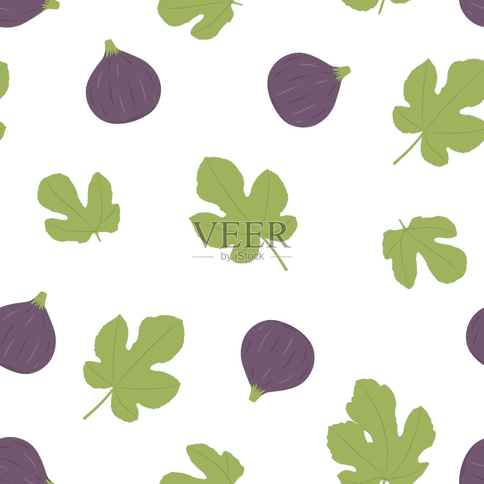 杨桃,图插画图片素材