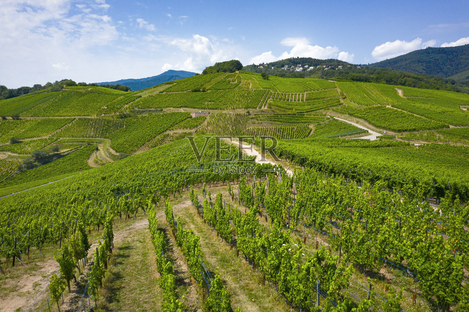 卡森塔尔和图克海姆阿尔萨斯之间的葡萄园鸟瞰图照片摄影图片