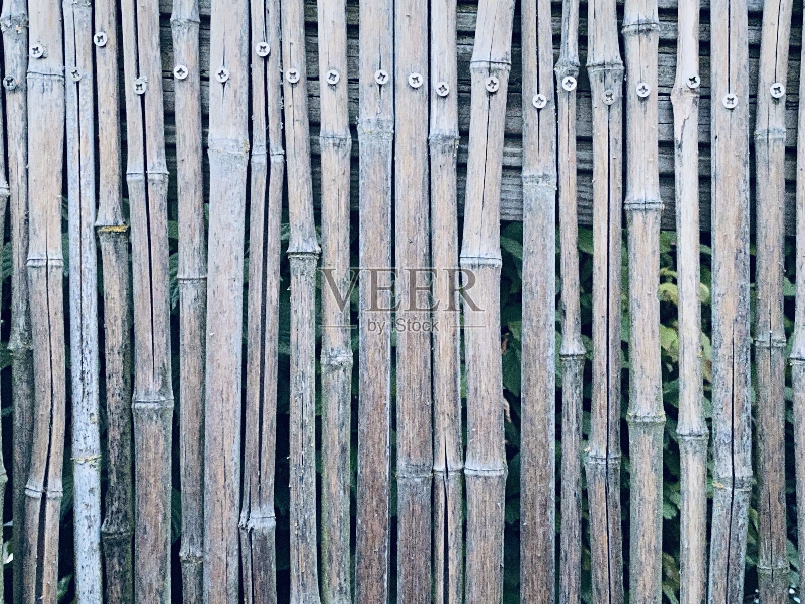 竹墙近景照片摄影图片