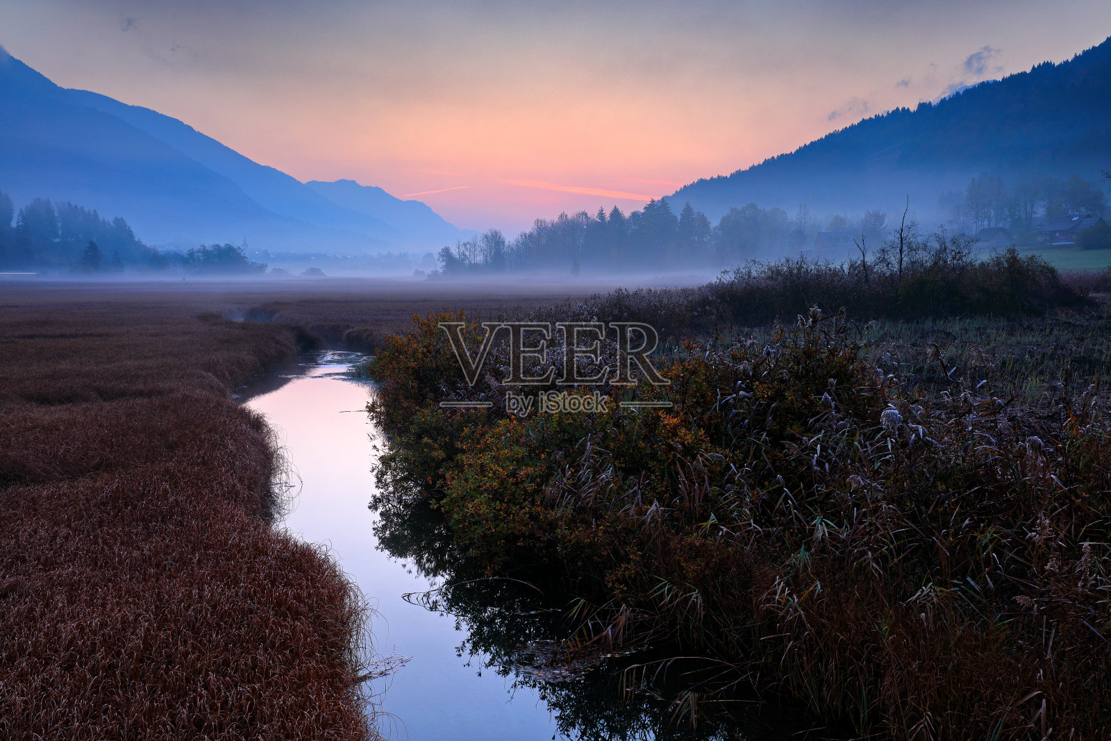 斯洛文尼亚克拉兰斯卡戈拉泽伦奇湖自然保护区。照片摄影图片