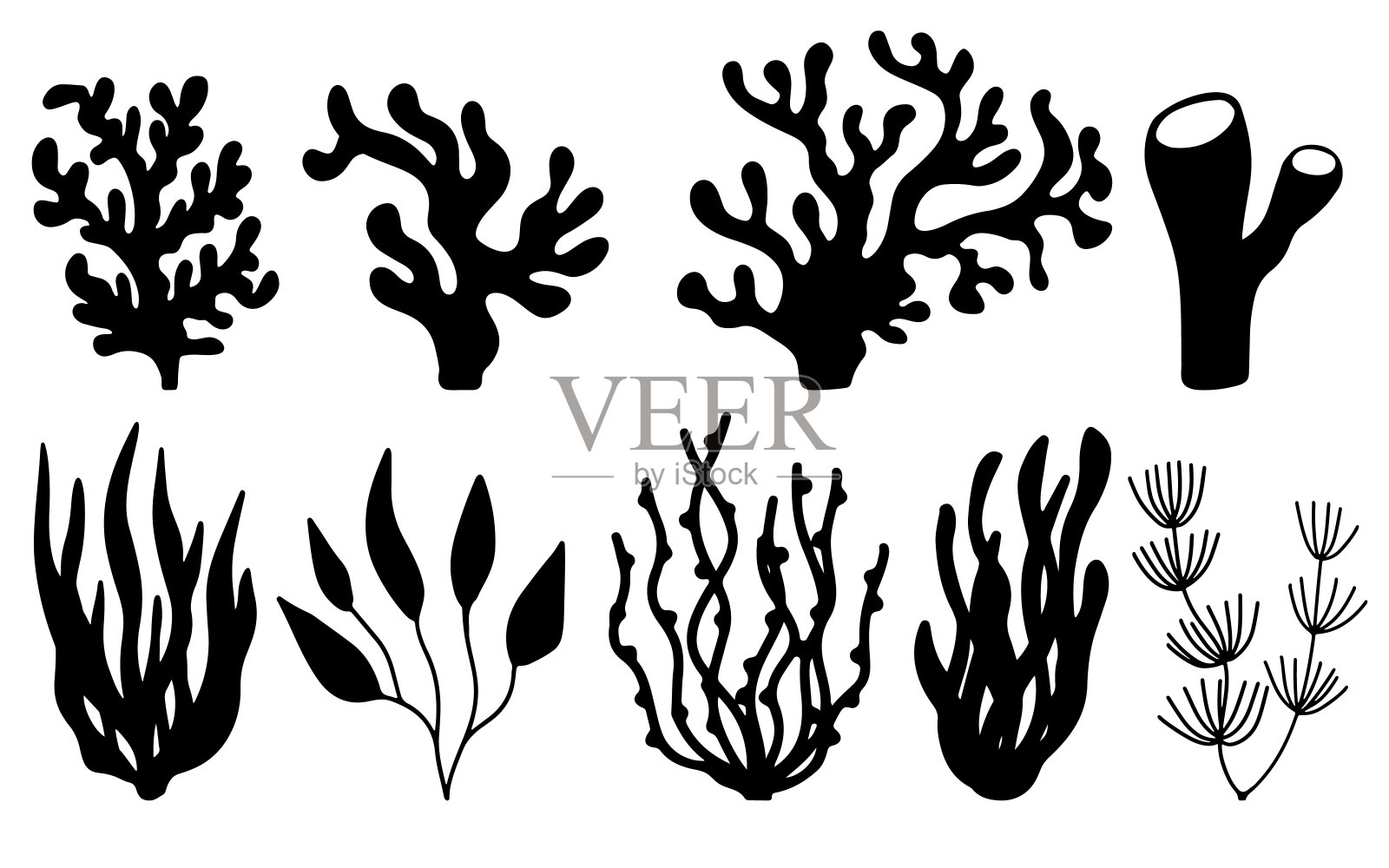 矢量组的珊瑚和海藻剪影。水下珊瑚礁和海带手绘涂鸦风格。海洋水族植物图鉴插画图片素材