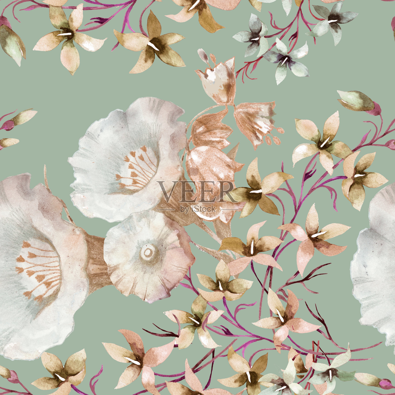 水彩白色和浅橙色野花在浅绿色灰色无缝模式。插画图片素材