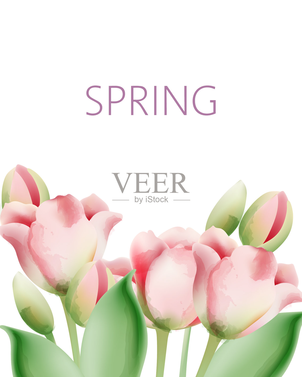 水彩郁金香花与绿色的叶子和插画图片素材