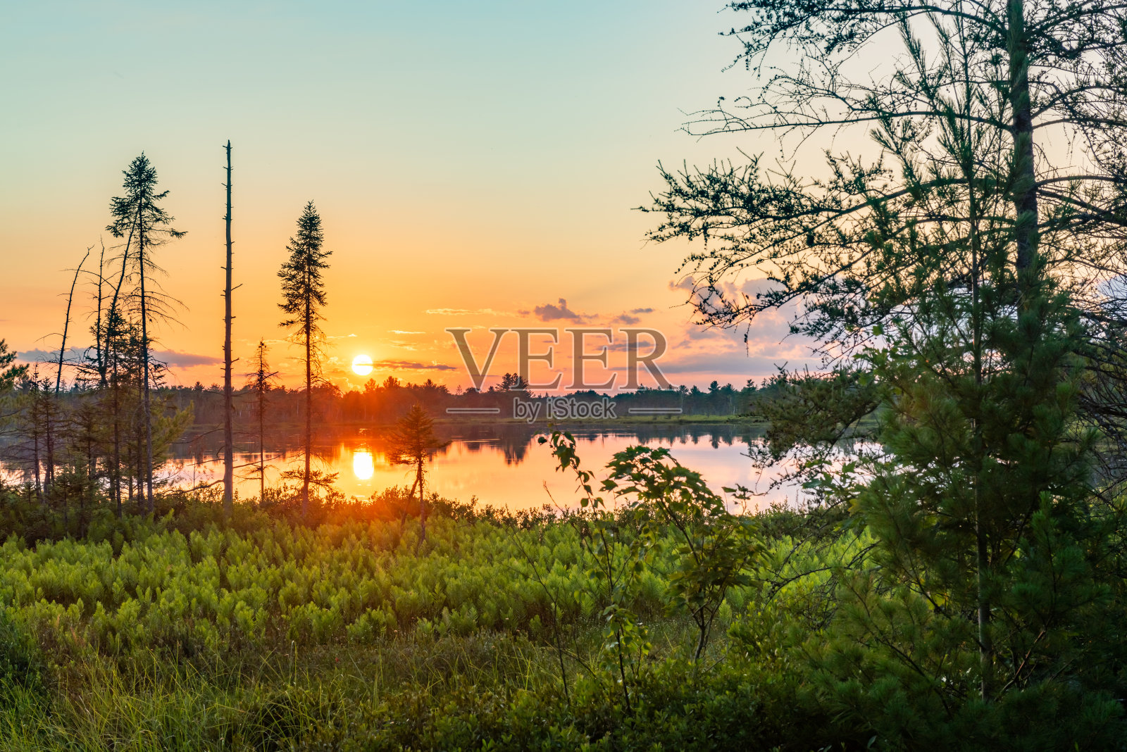 Muskoka Torrance Barrens暗天保护区和高地池塘，Gravenhurst，加拿大照片摄影图片