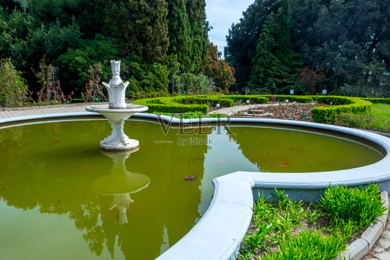 公园里的喷泉照片摄影图片