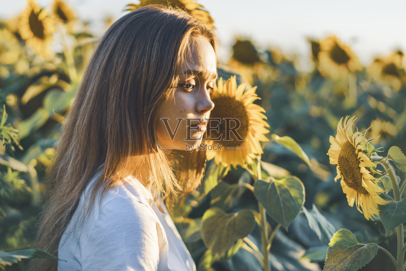 年轻漂亮的女人在向日葵地里玩耍照片摄影图片