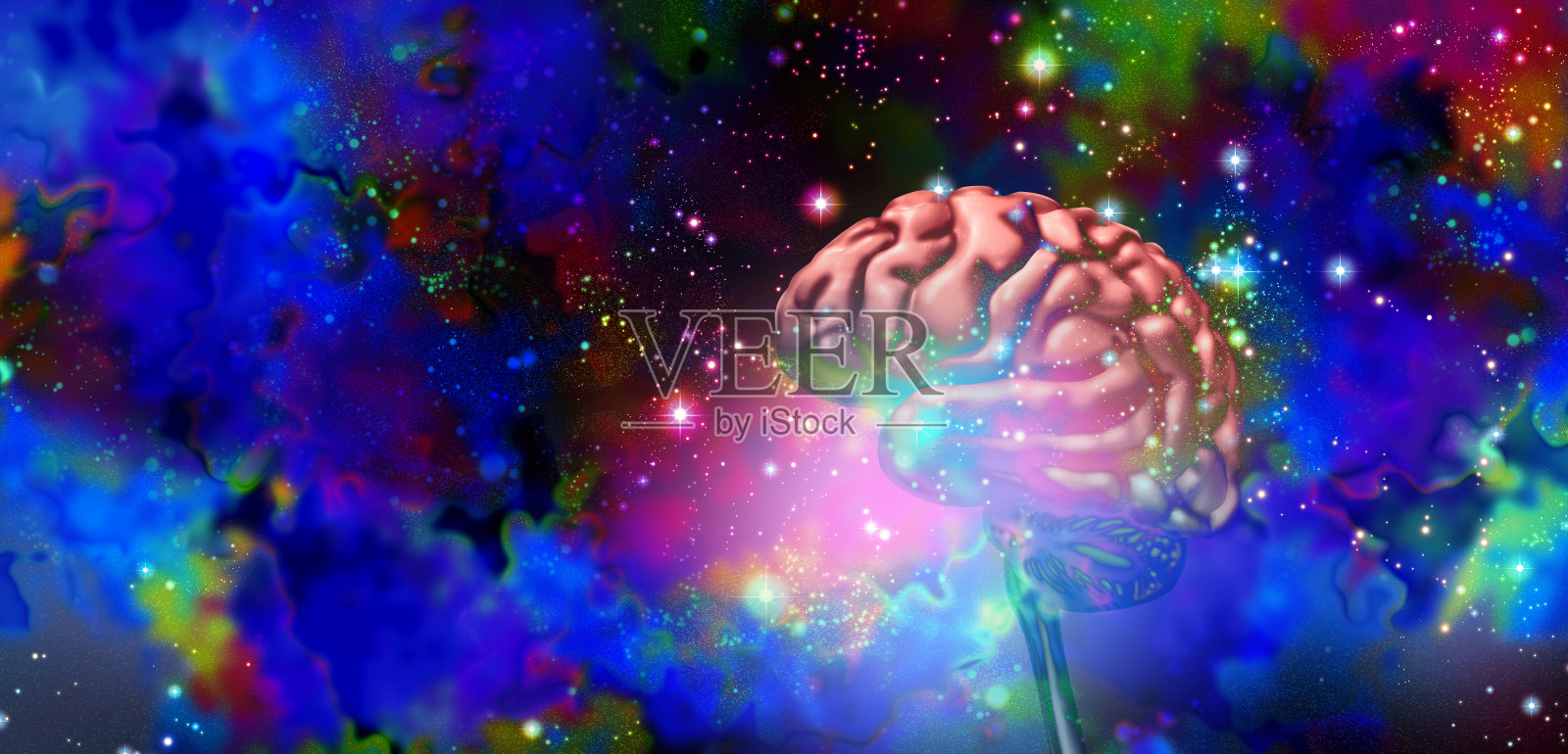 脑科学照片摄影图片