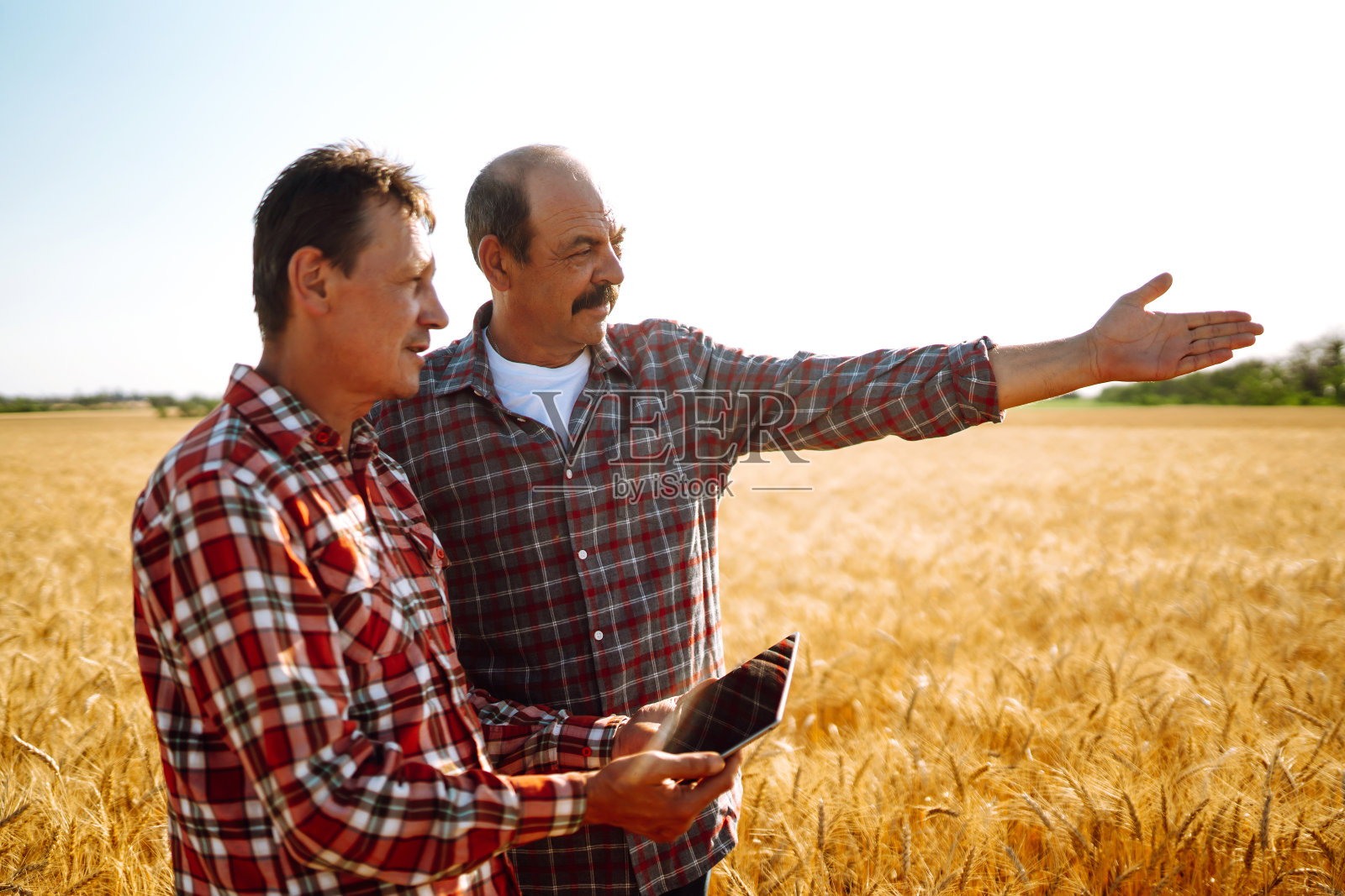 农民用平板在田里。聪明的农场照片摄影图片