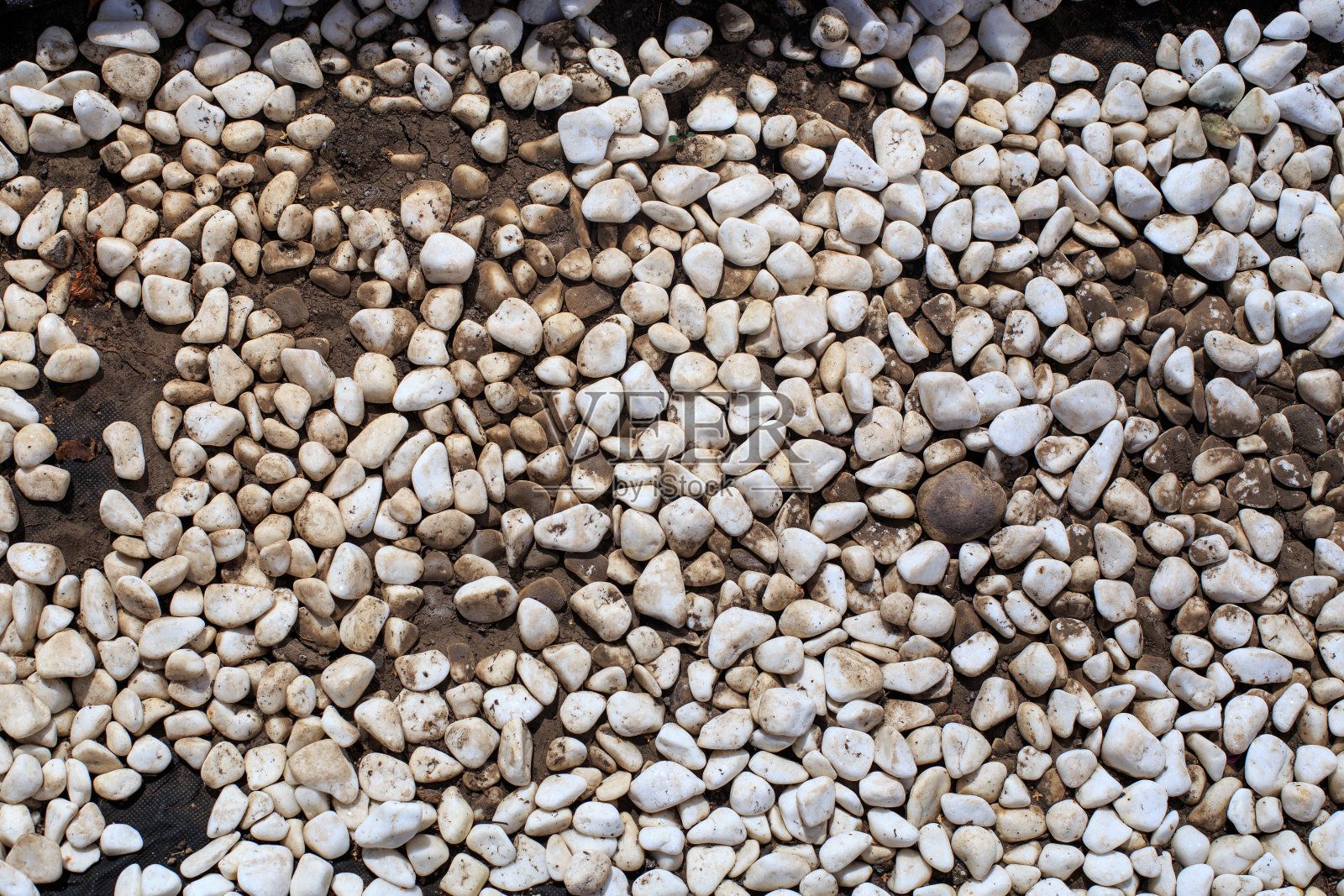 用灰色的石头做草坪照片摄影图片