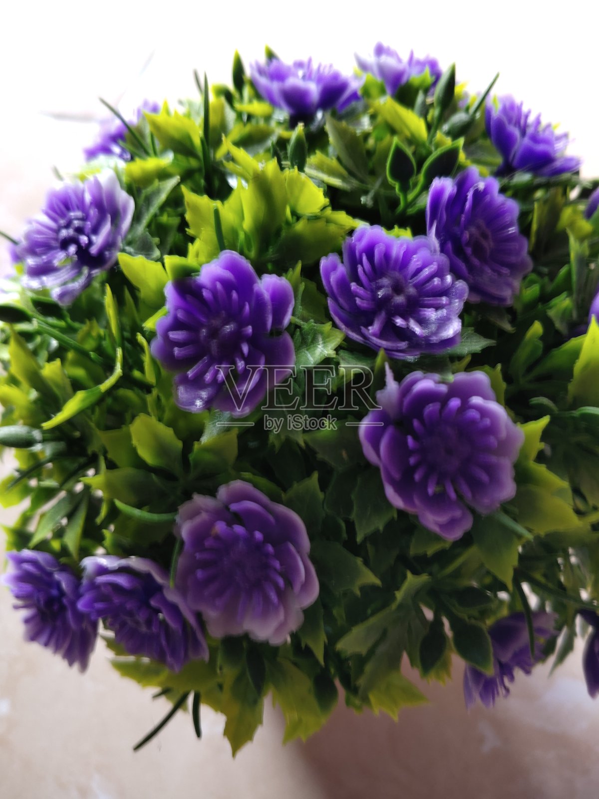 紫色纸花照片摄影图片