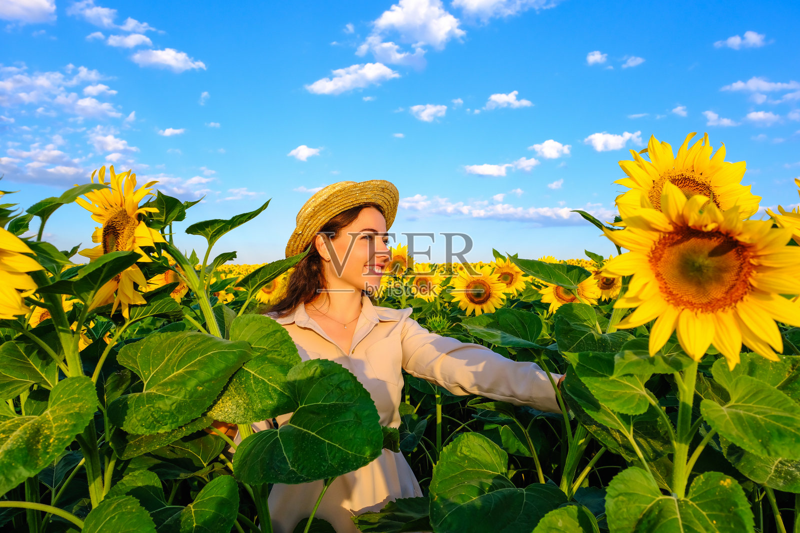 日出时，带着草帽的微笑女子在盛开的向日葵地里照片摄影图片