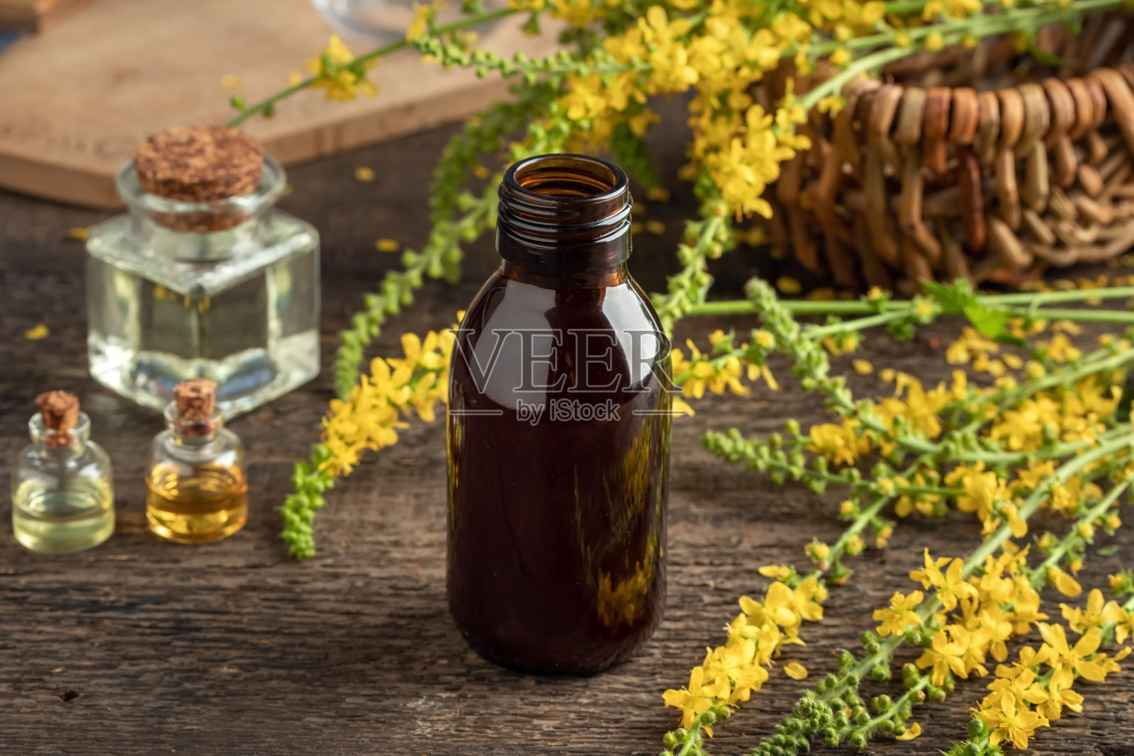 一瓶用新鲜仙鹤草制成的草药酊剂照片摄影图片