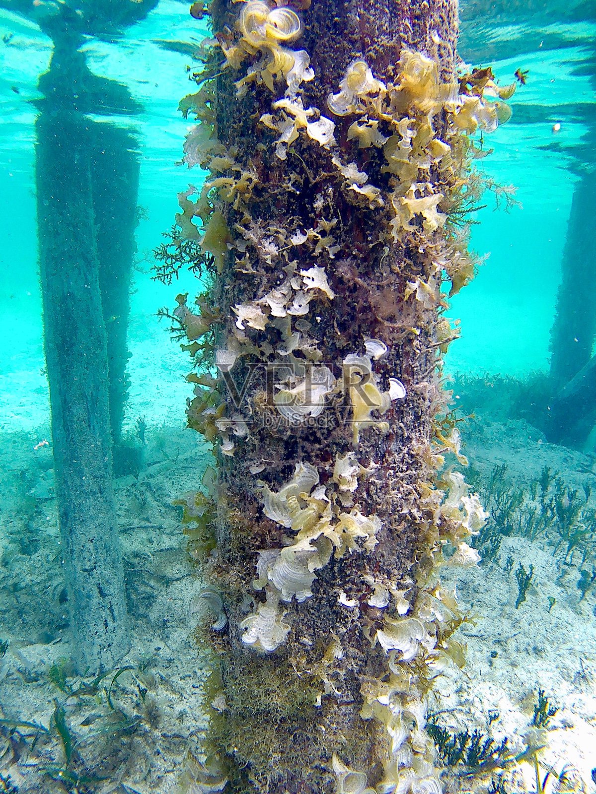 现场码头照片摄影图片