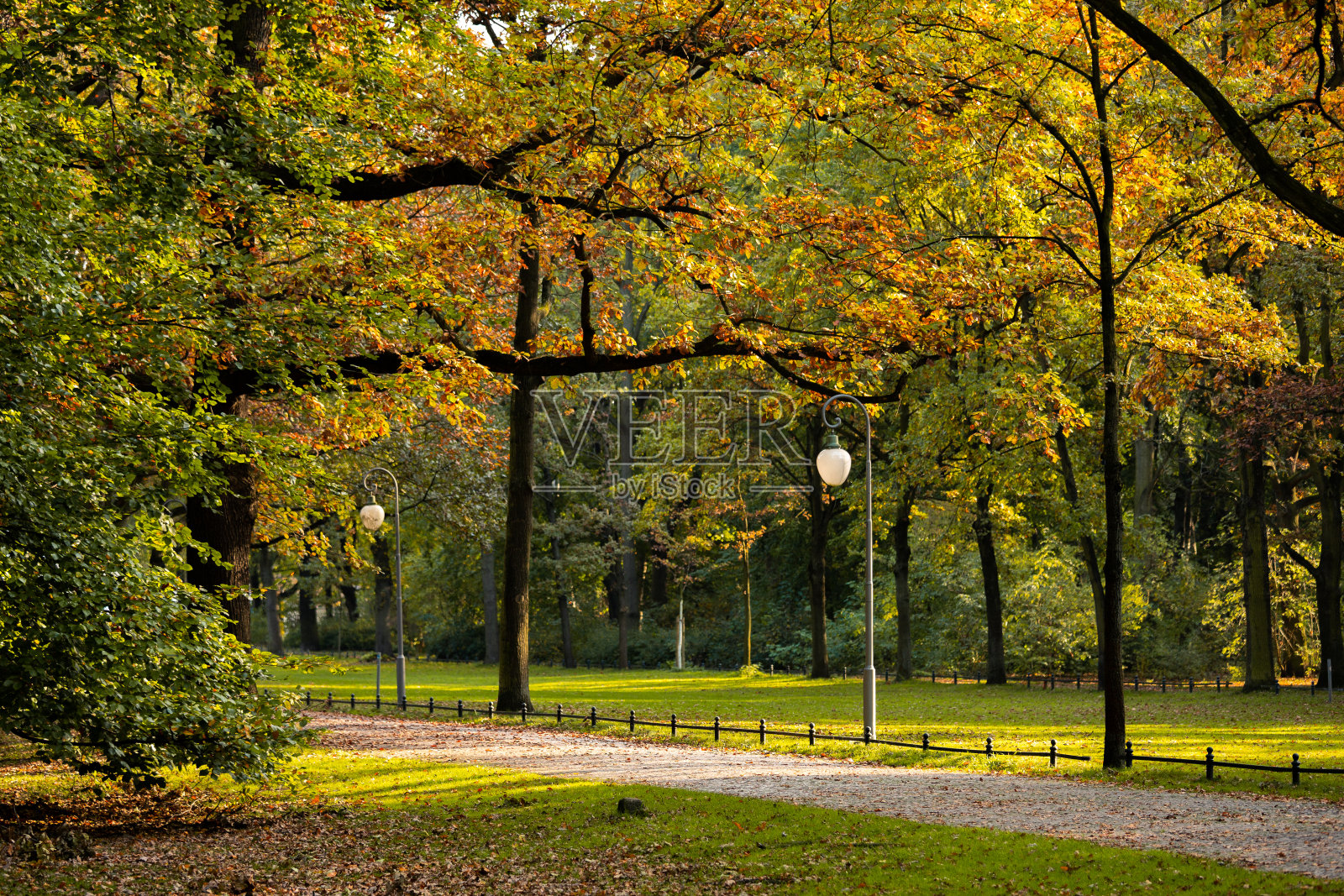 秋天的公园照片摄影图片