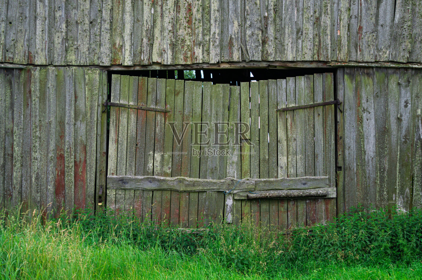 旧的朽木从昔日的木板上脱落下来。照片摄影图片