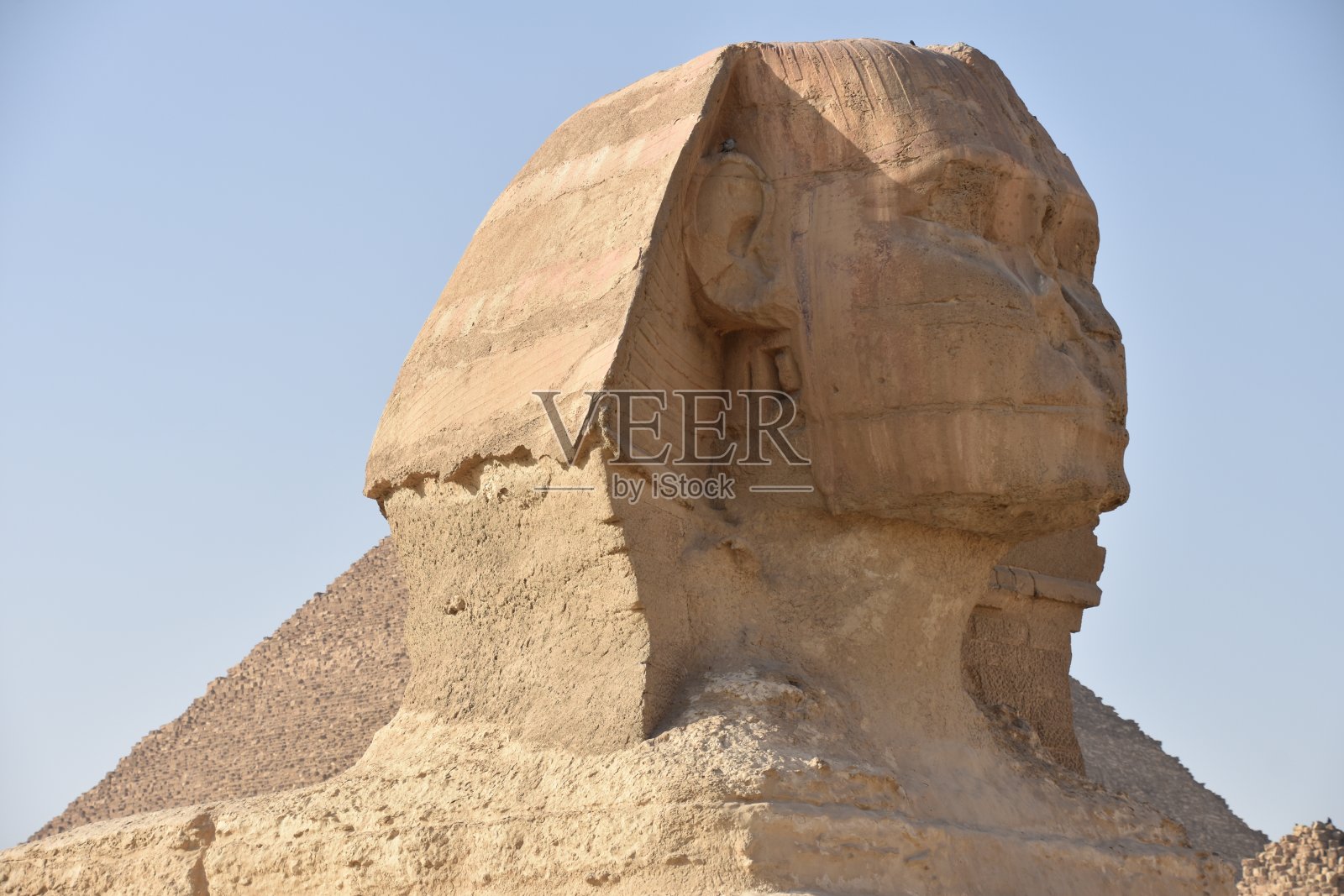 以大金字塔为背景的狮身人面像照片摄影图片