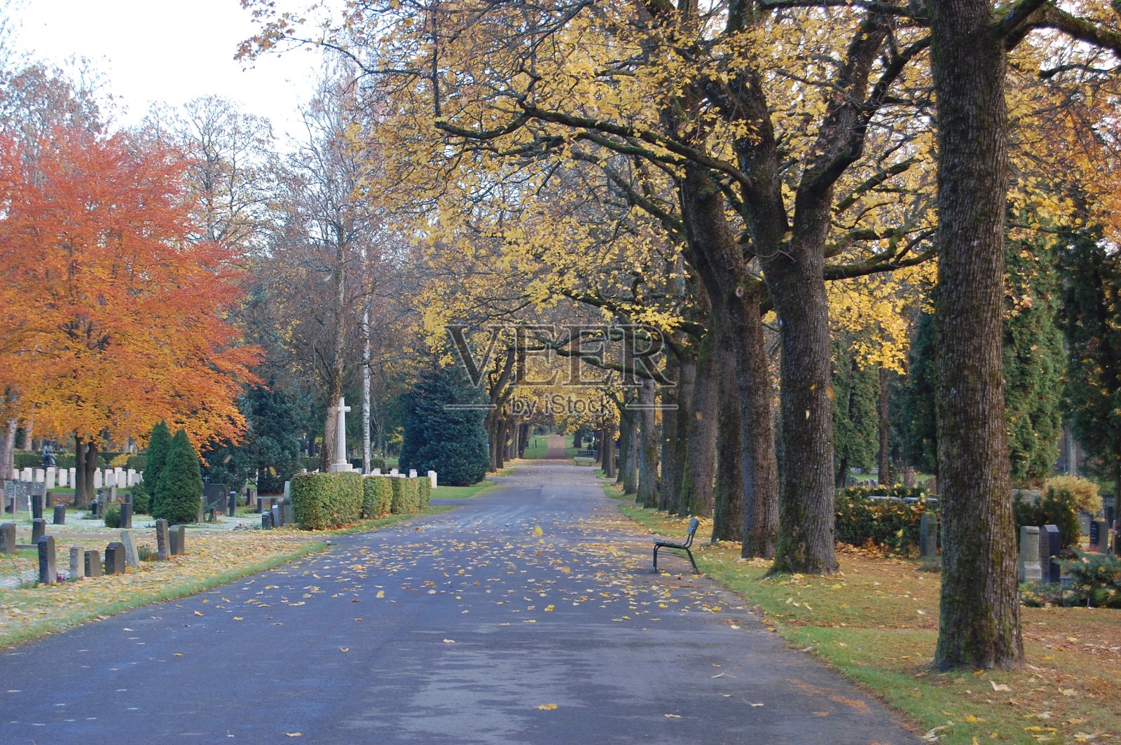 秋天照片摄影图片