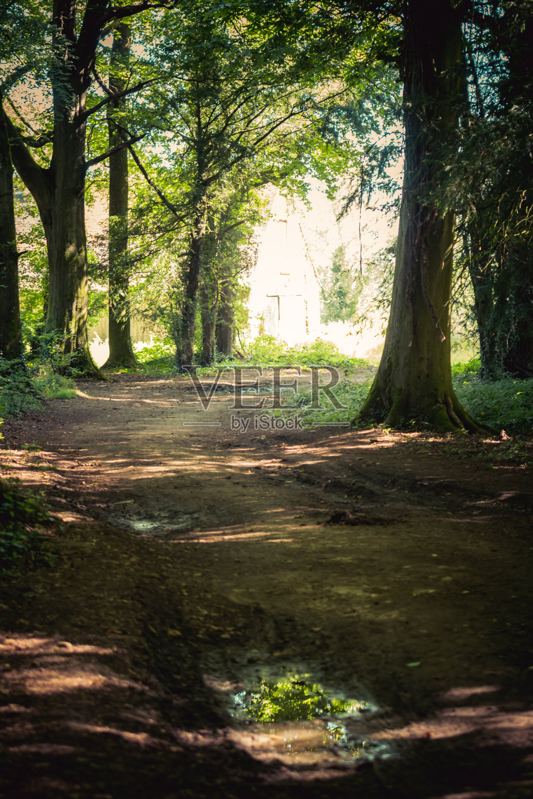 美丽夏日阳光下的科茨沃尔德景色照片摄影图片