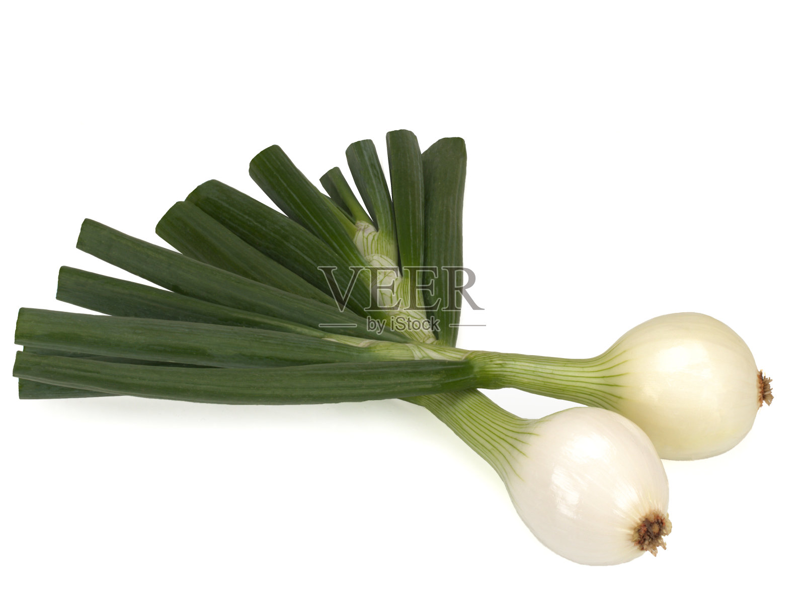 孤立在白色背景上的幼小鳞片状洋葱照片摄影图片