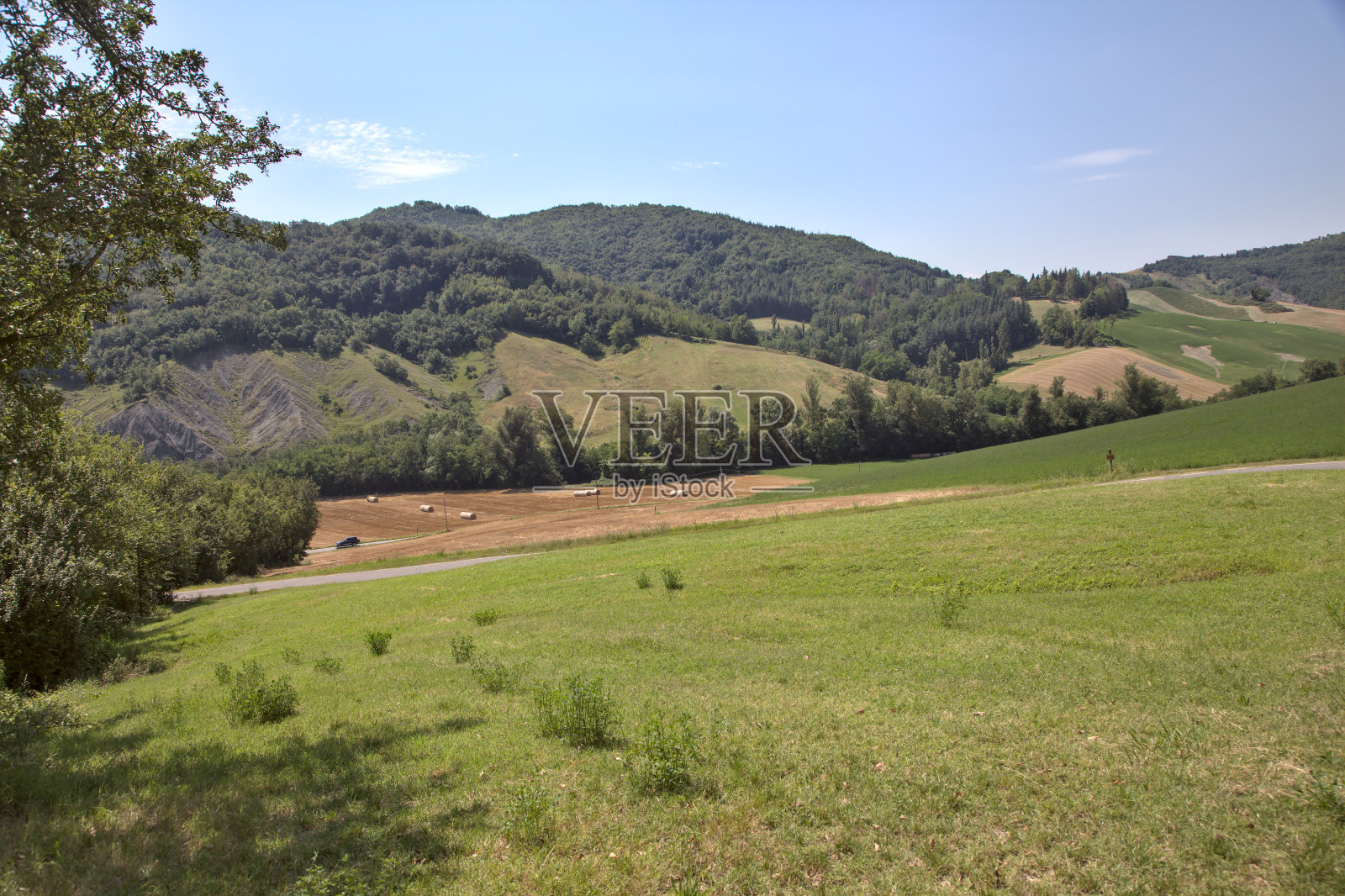 在一个晴朗的夏日，山坡上的草地，旁边是一个小树林，远处是耕过的田地，后面是山照片摄影图片