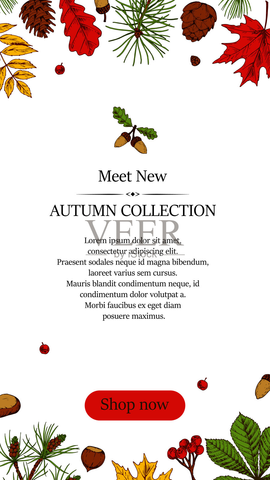 垂直社会网络故事模板与手绘元素。秋季设计的横幅，卡片，公告，通讯在彩色素描风格。矢量插图。空间的文本插画图片素材