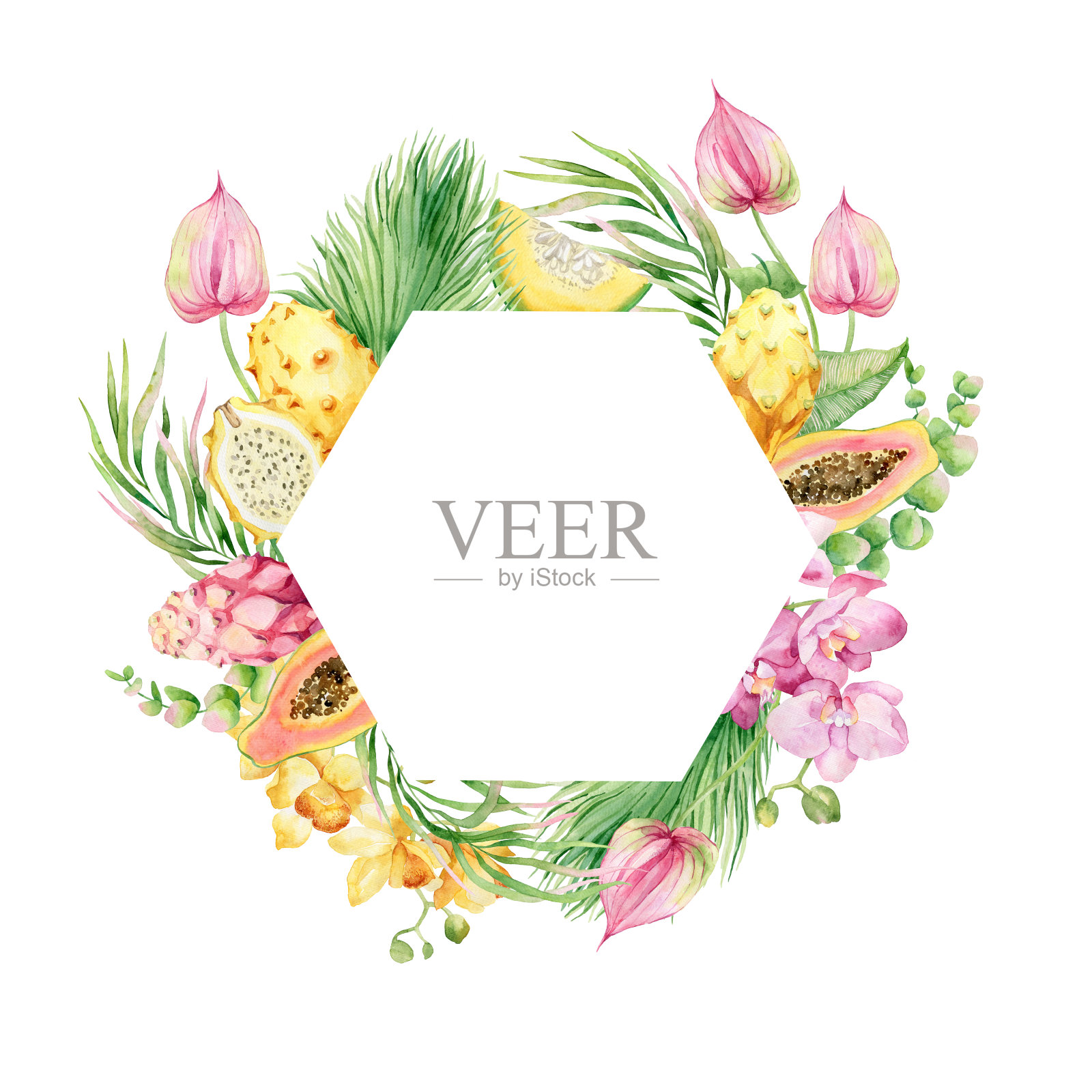 水彩画框架热带水果，花和棕榈叶。插画图片素材