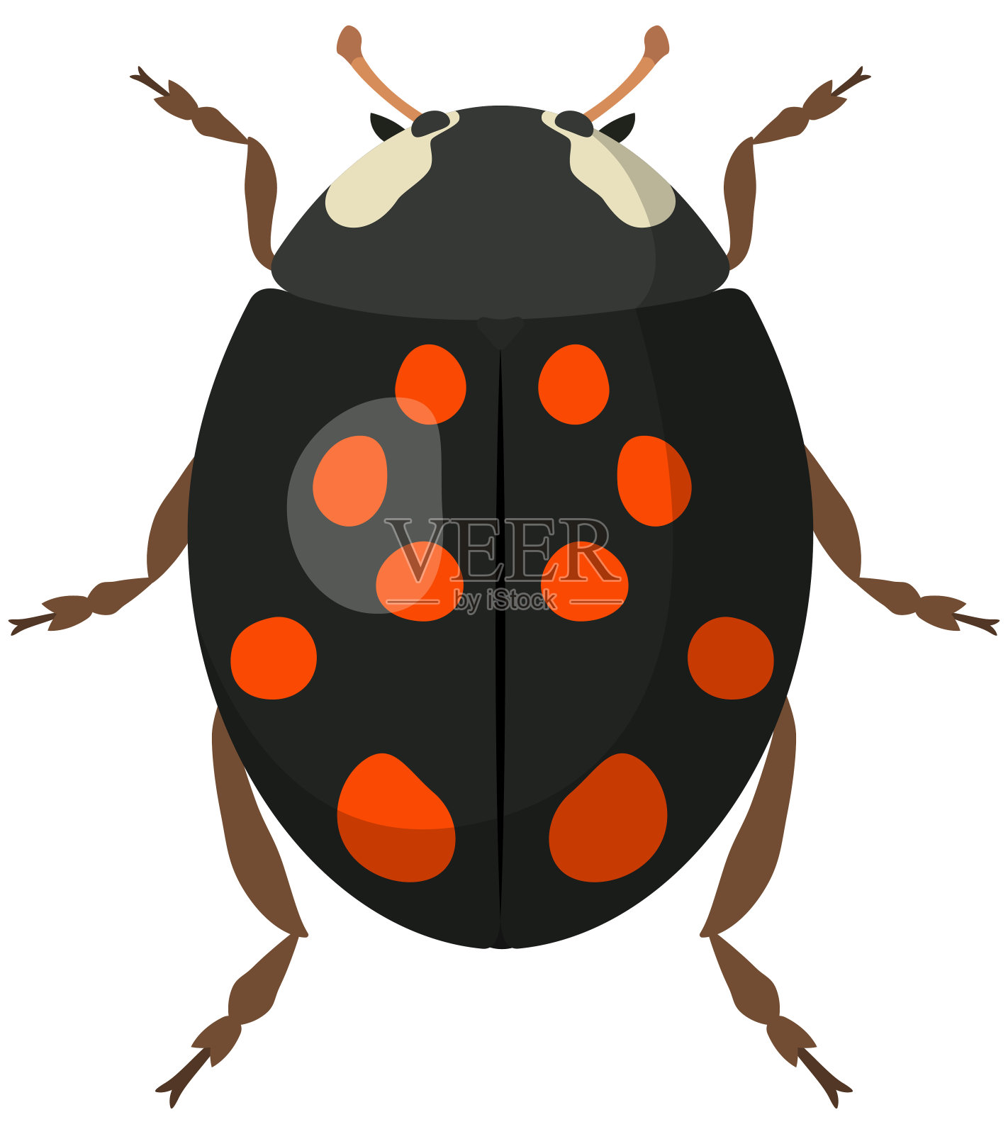 黑色瓢虫卡通风格。设计元素图片