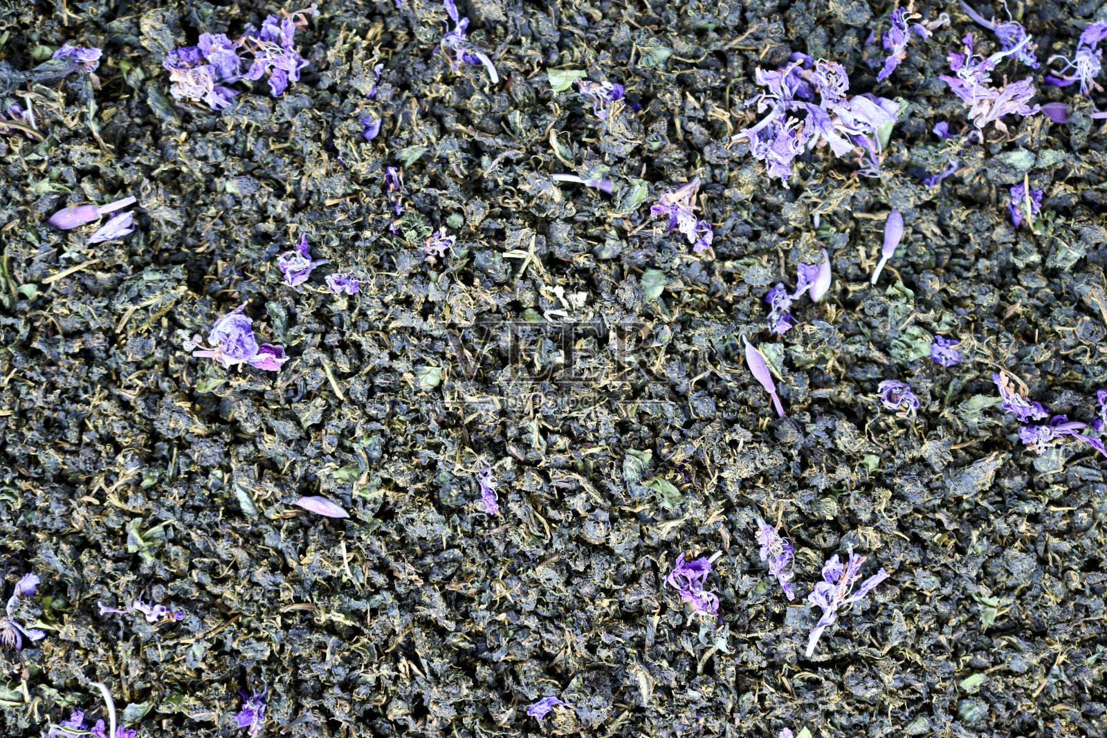 干发酵菊茶。均匀的背景。茶的口感。照片摄影图片