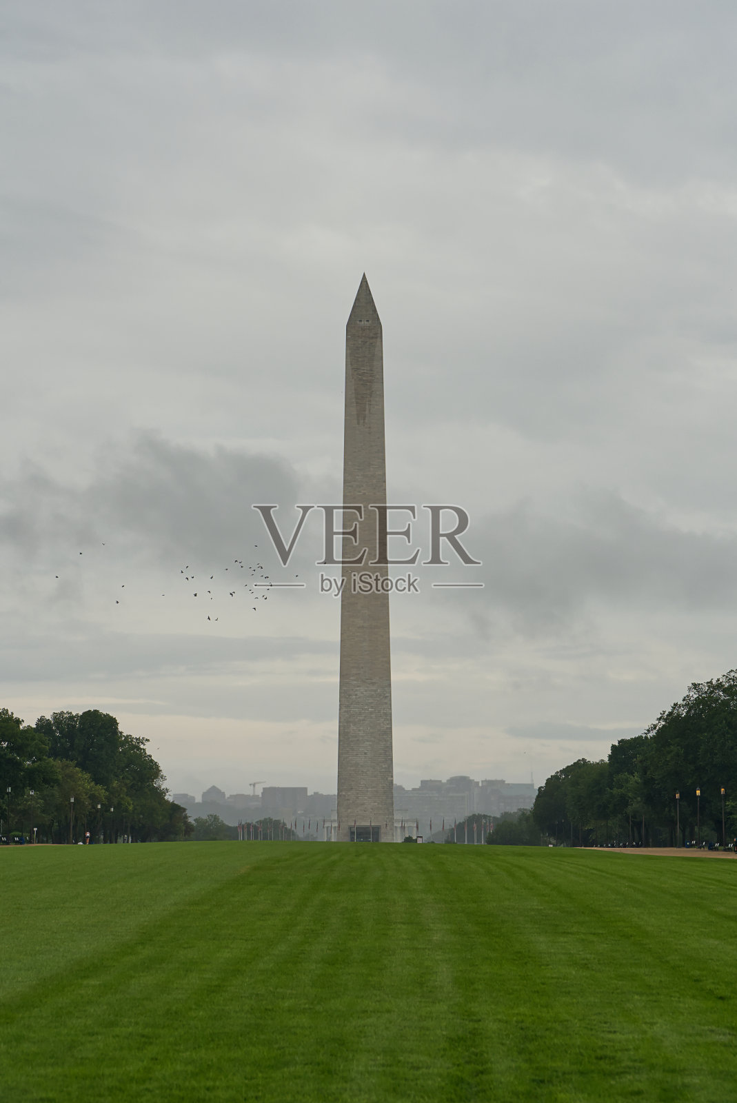 阴雨多雾的早晨华盛顿纪念碑照片摄影图片