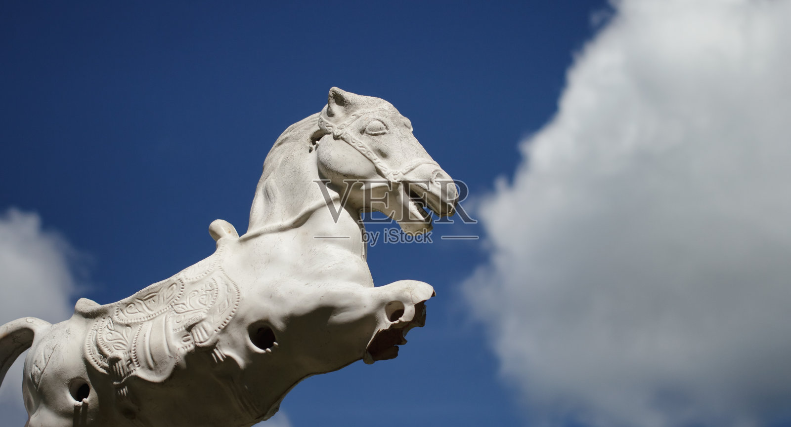 老爱好马照片摄影图片