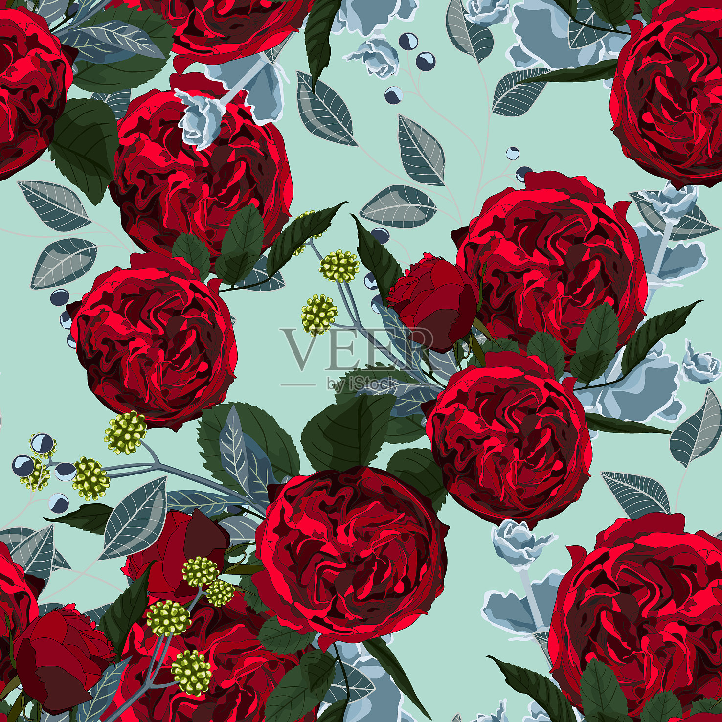 红花多肉插画图片素材