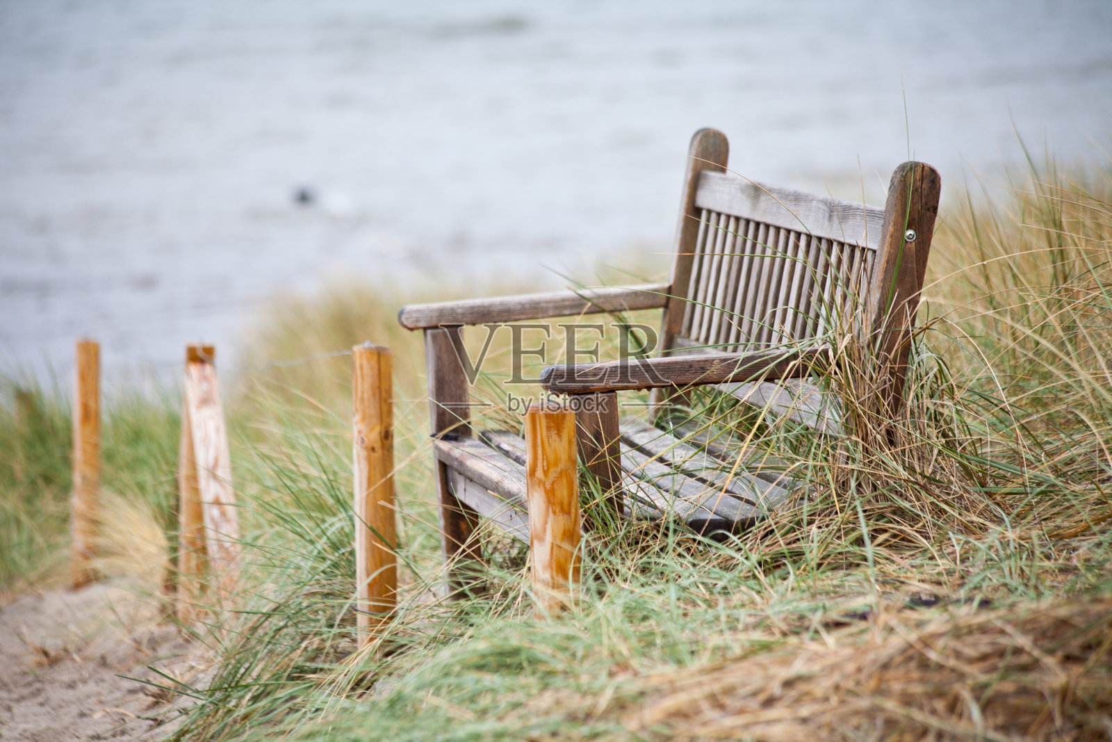 海边沙丘中的木凳照片摄影图片