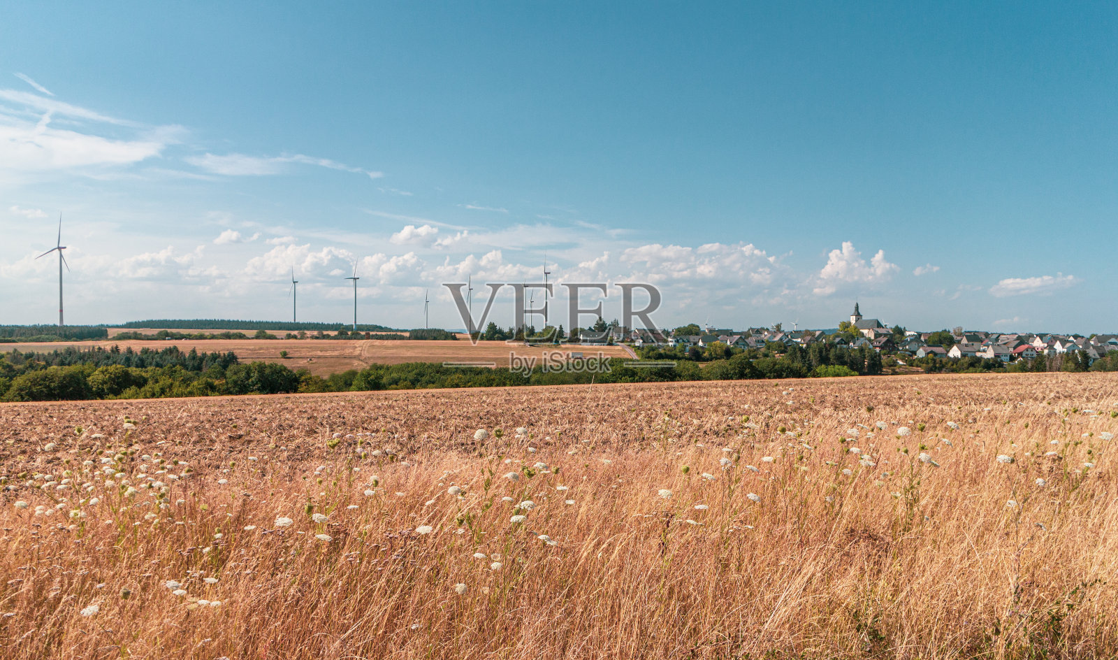 德国的风力涡轮机照片摄影图片