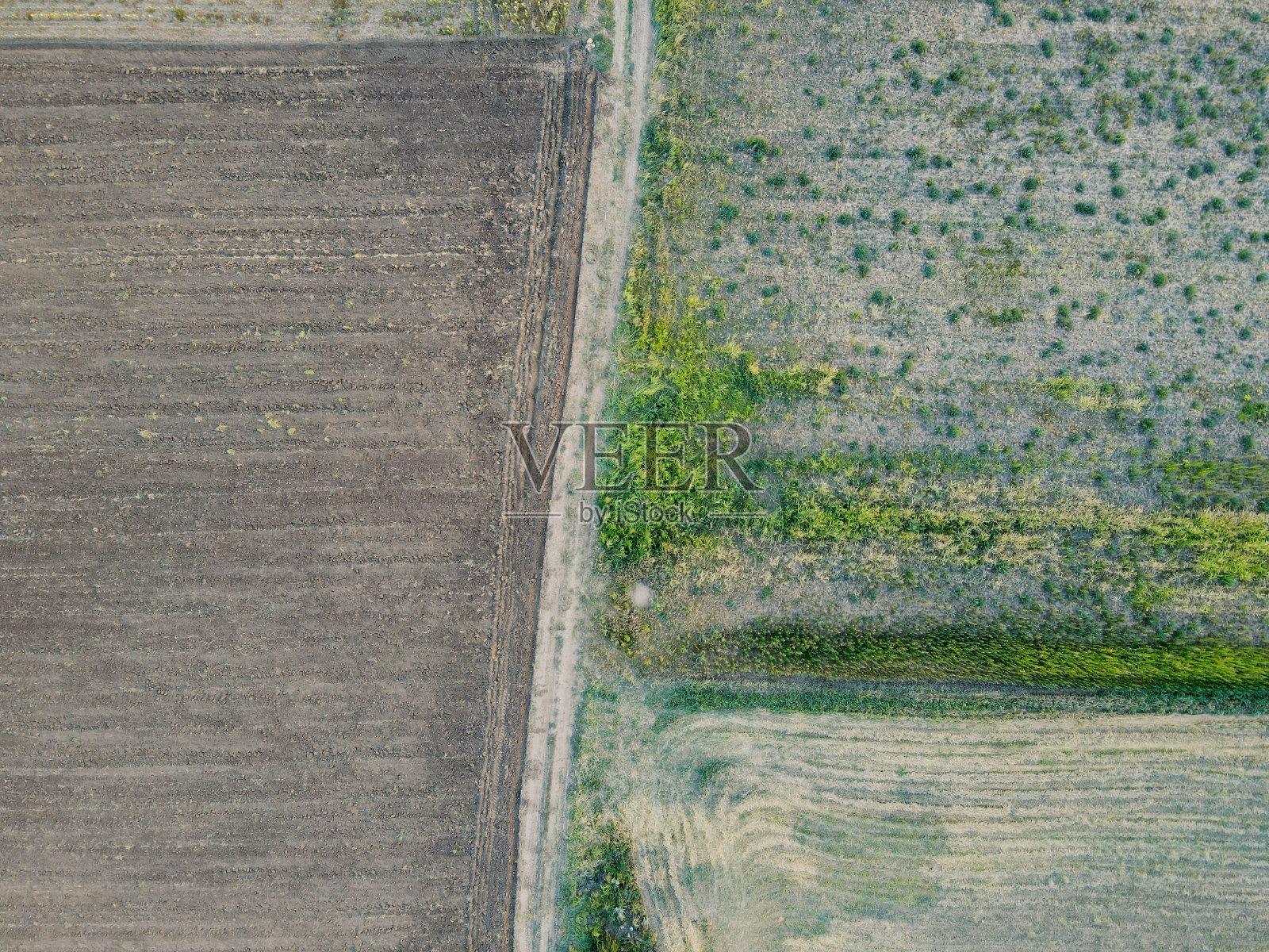 罗马尼亚多布罗吉亚的农田。鸟瞰图。照片摄影图片