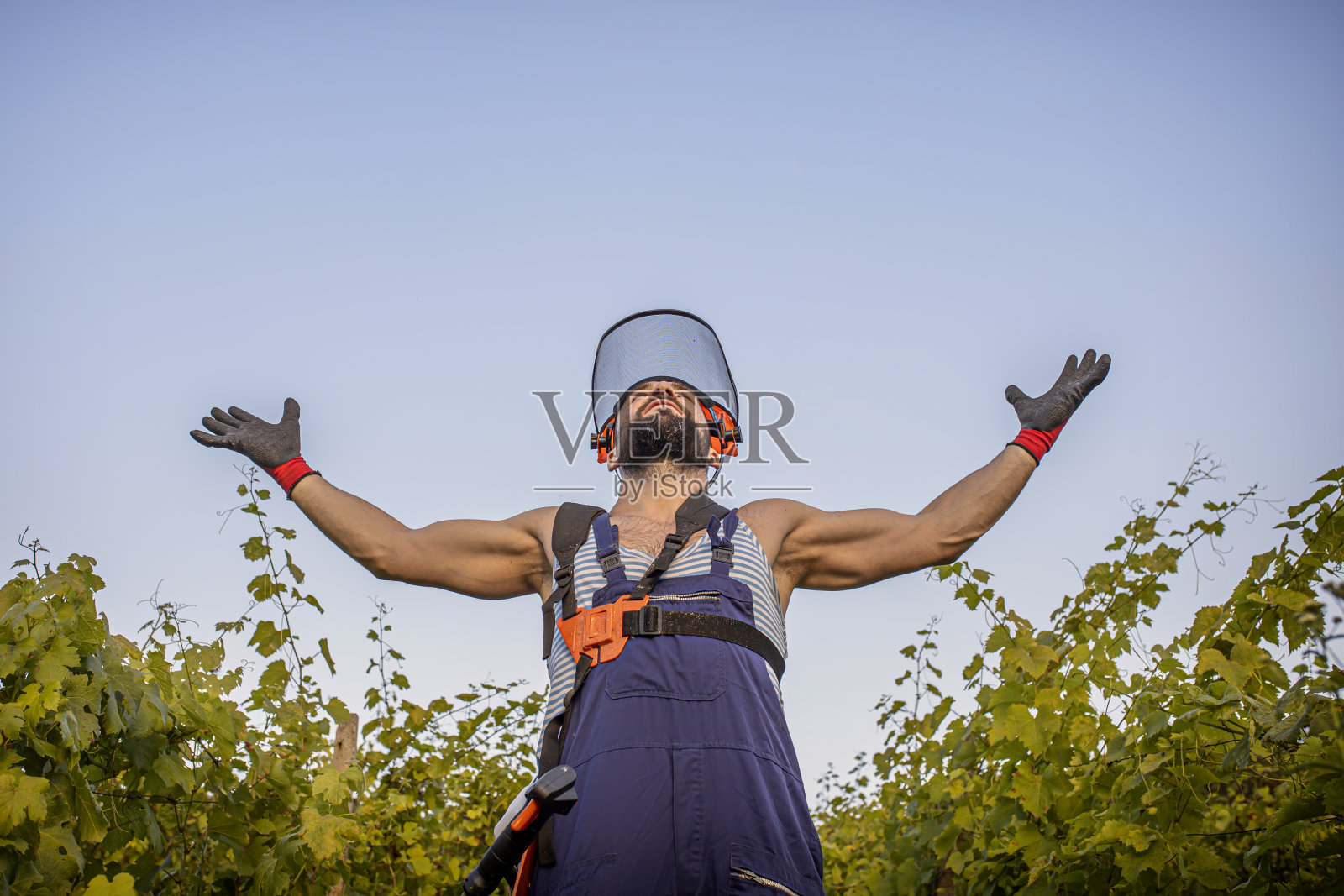 农夫看着天空照片摄影图片