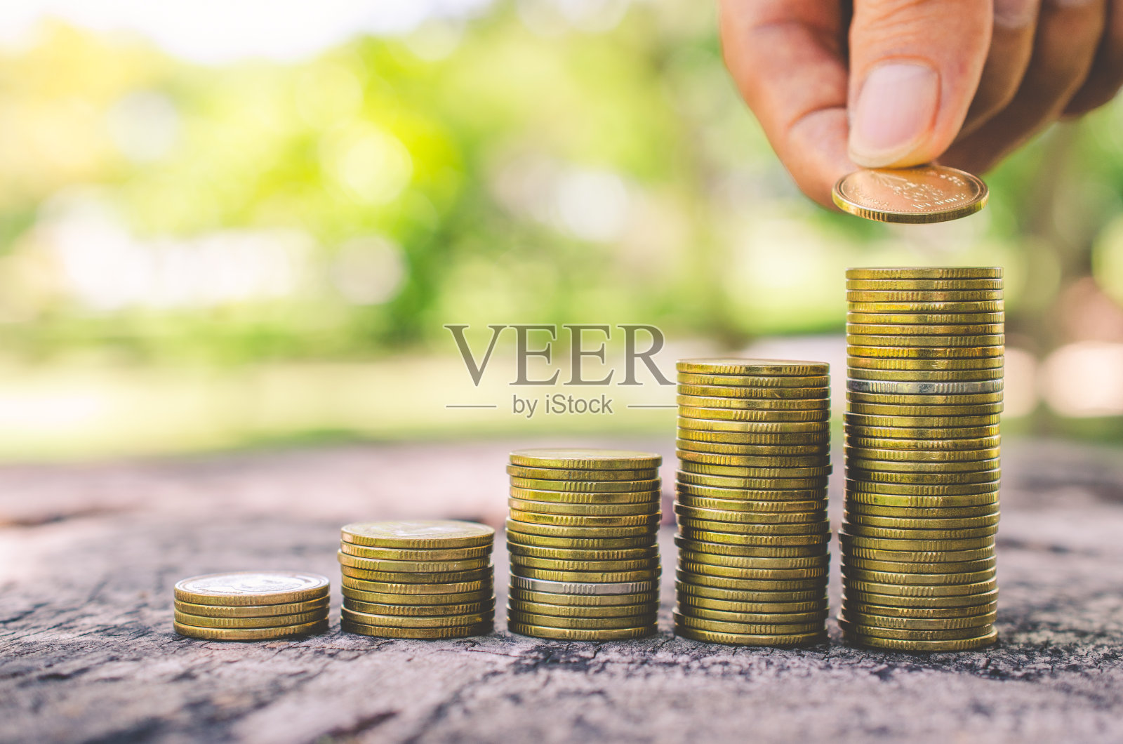 投资者商人手把钱放在硬币排堆放在木桌上，以模糊的自然公园为背景。存钱概念的金融银行和会计。照片摄影图片