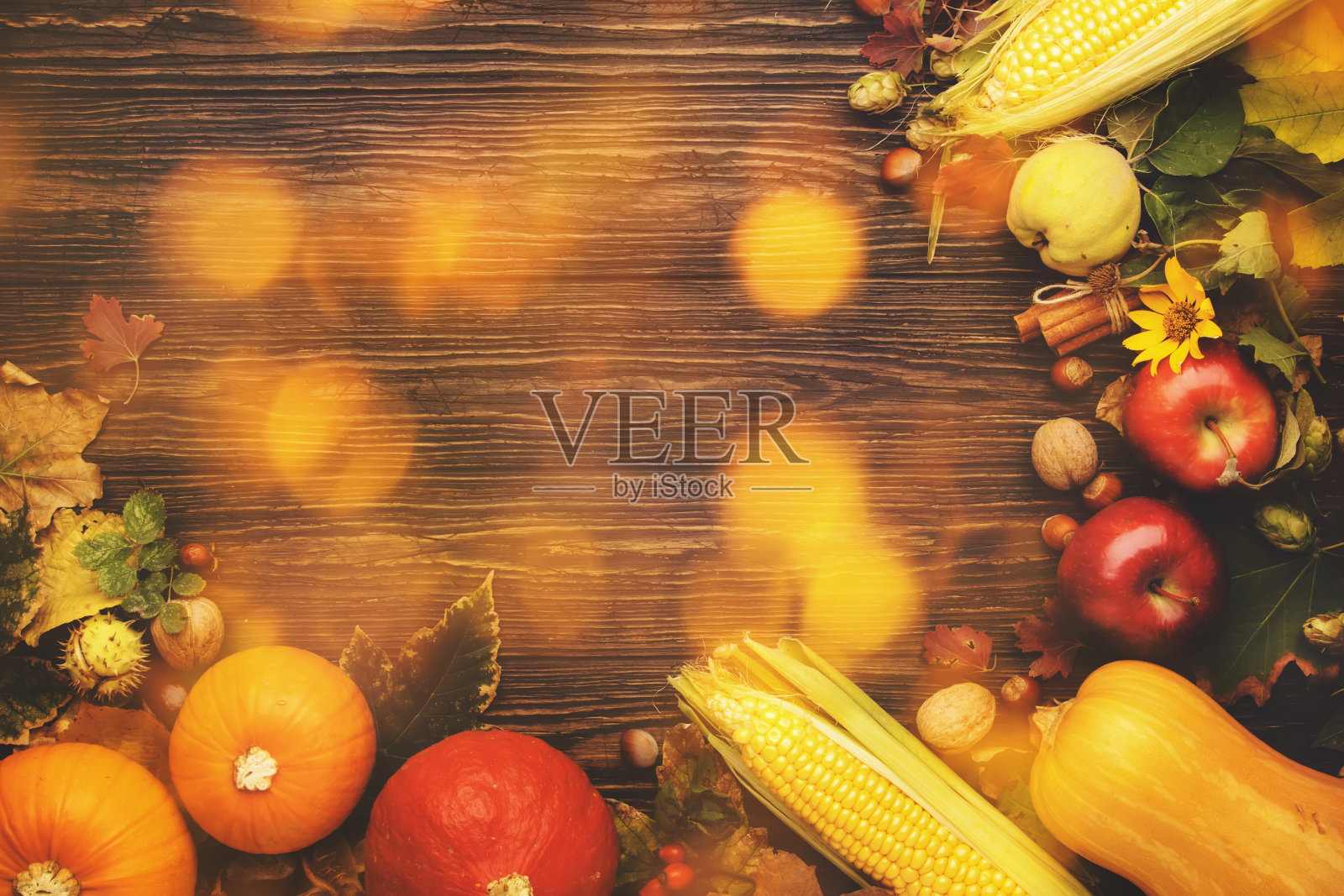 感恩节的背景，食物秋收的概念。一张质朴的桌子，上面放着苹果、南瓜、坚果、葡萄和玉米，深色的桌子上有拷贝空间，俯视图照片摄影图片
