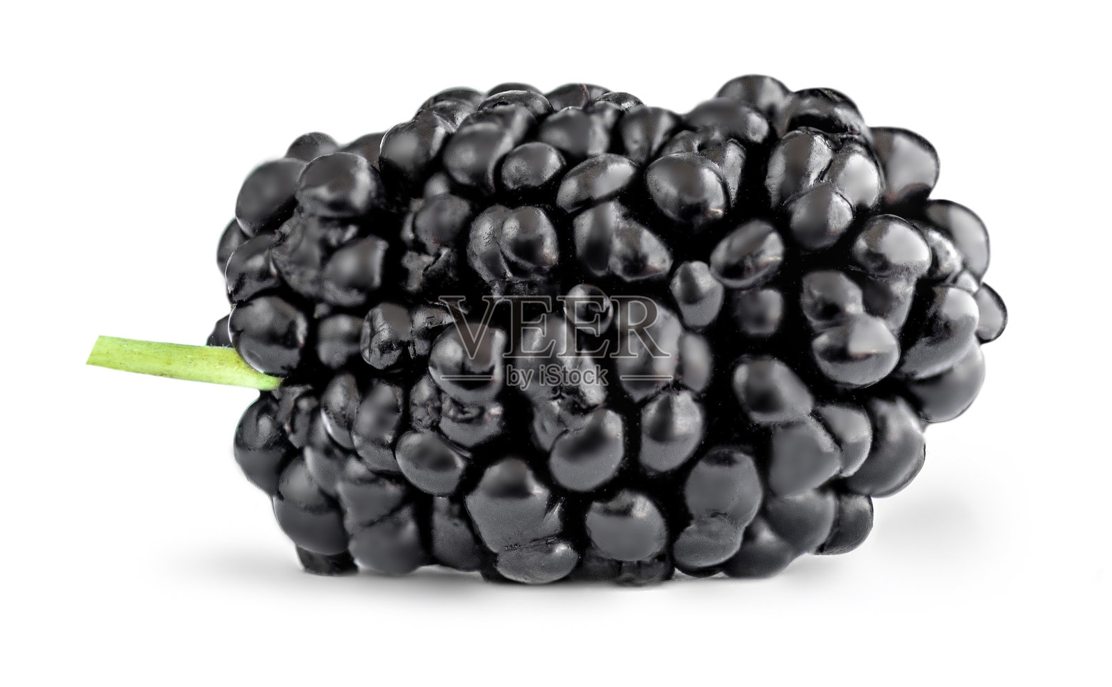 孤立的桑葚。鲜桑椹浆果在白色背景宏"n照片摄影图片