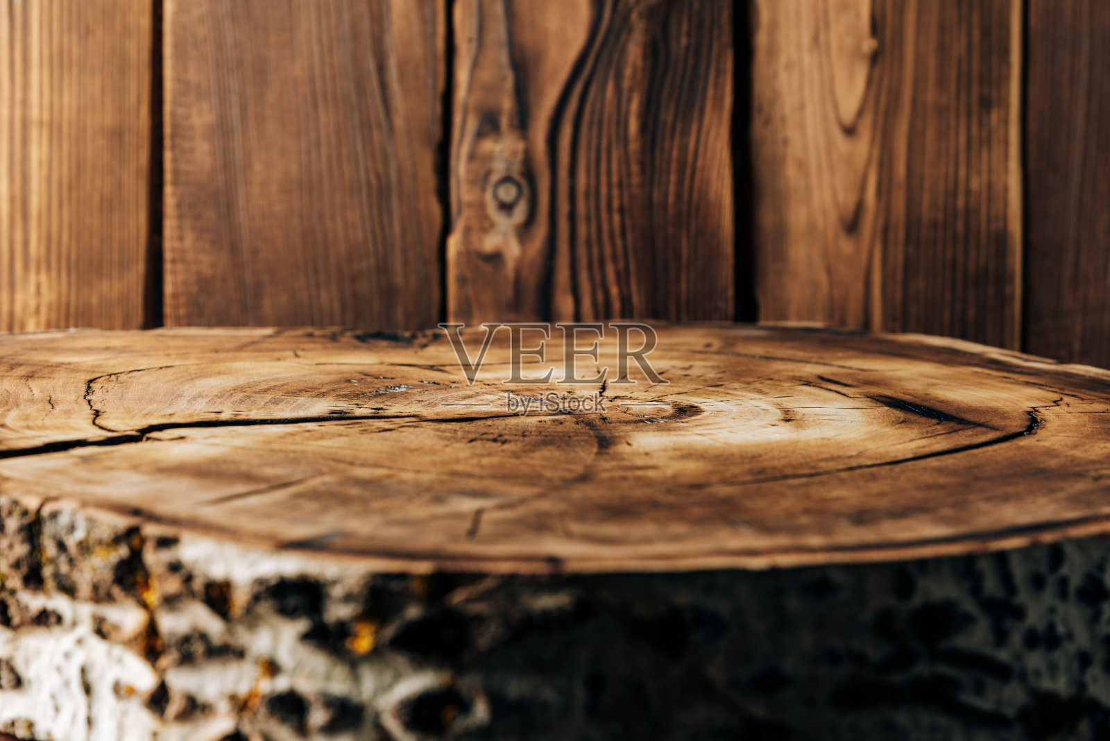 以木板为背景的一棵树横截面照片摄影图片