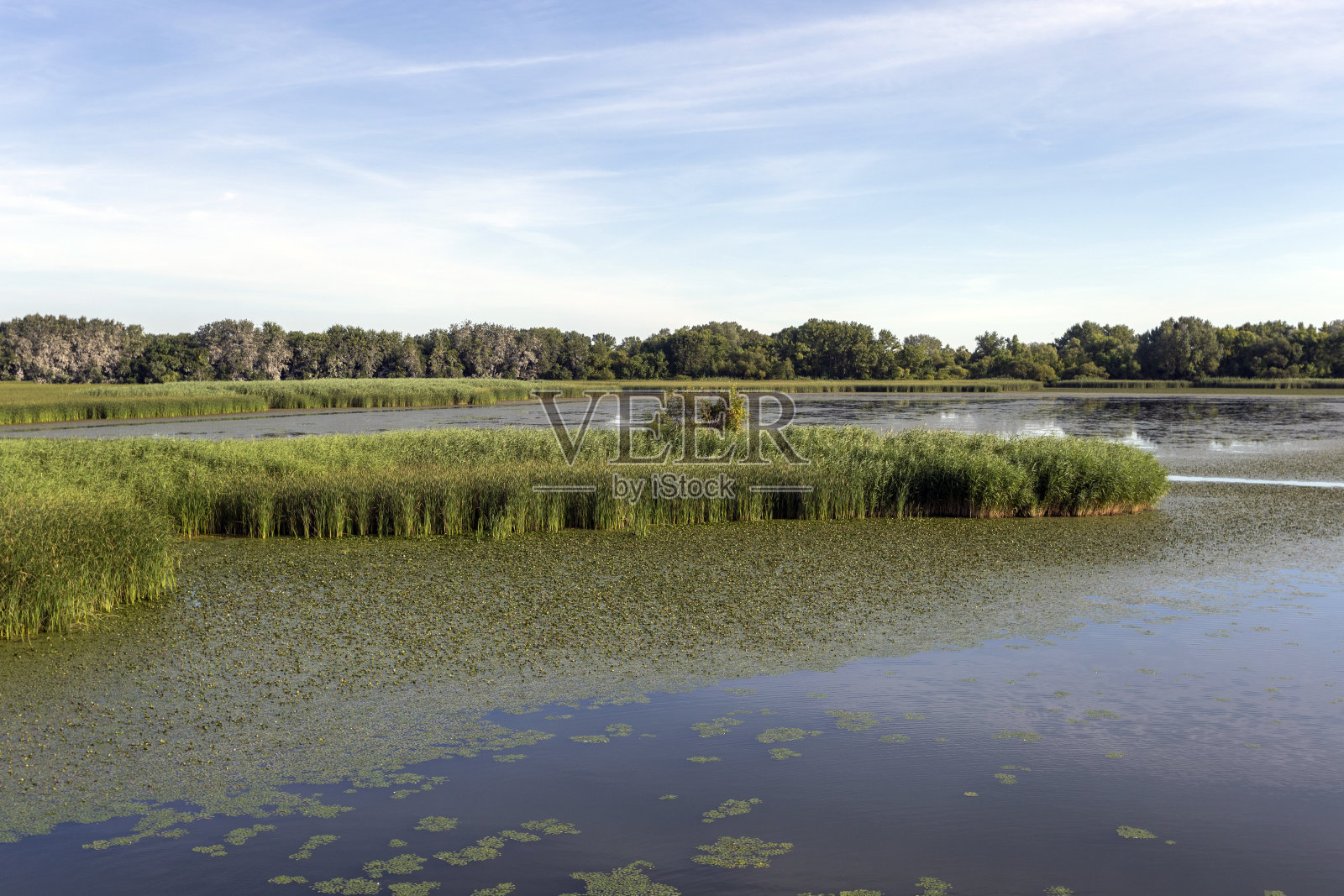 波罗斯洛的悌萨湖照片摄影图片