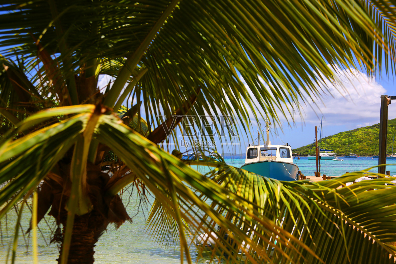 停泊在约斯特·范·戴克岛上的福克斯酒吧照片摄影图片