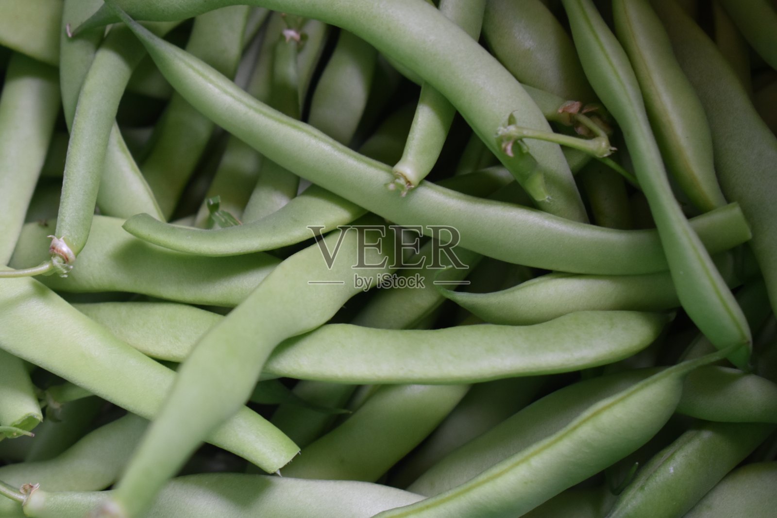 四季豆等着准备照片摄影图片