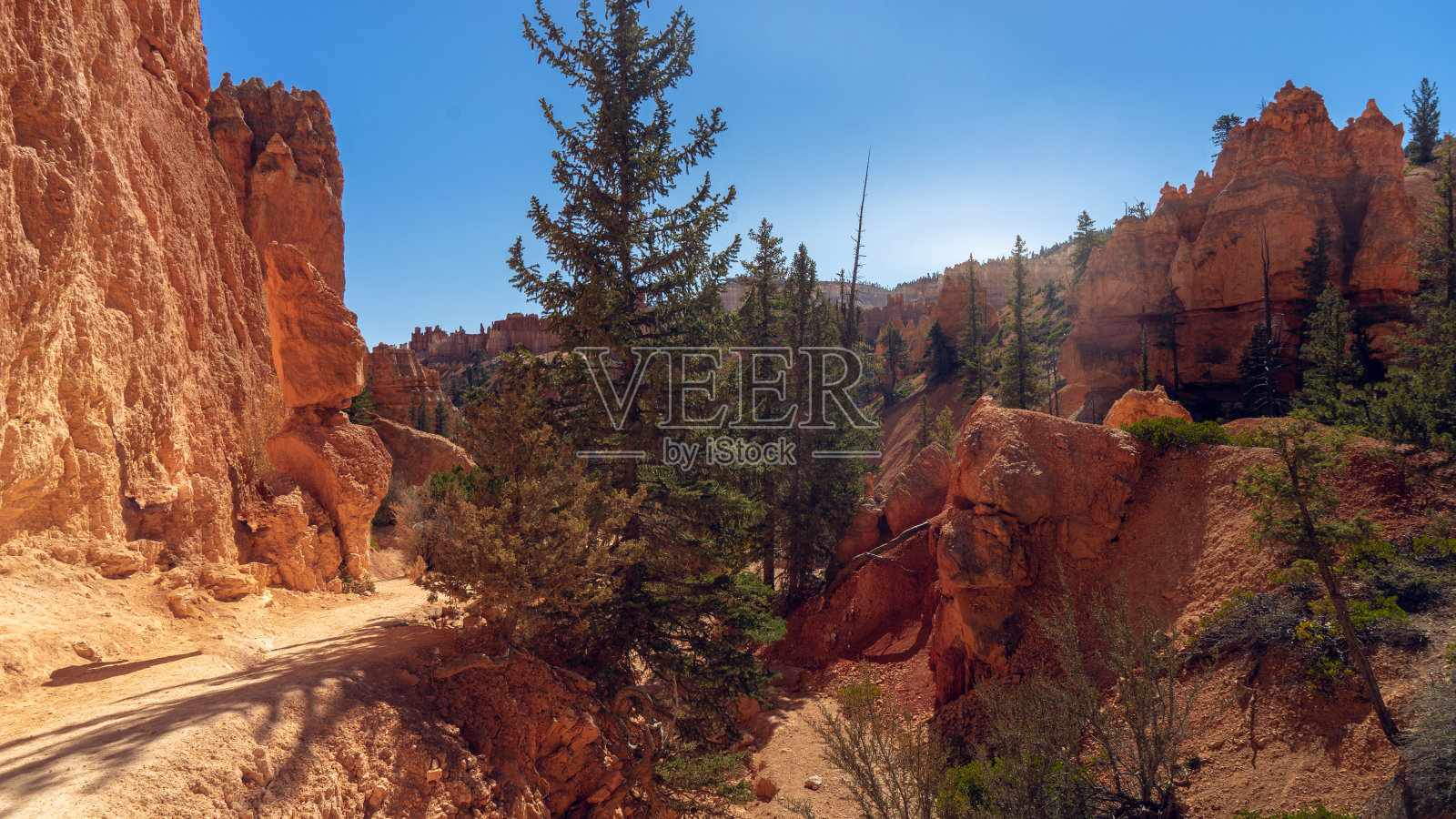 布莱斯峡谷照片摄影图片