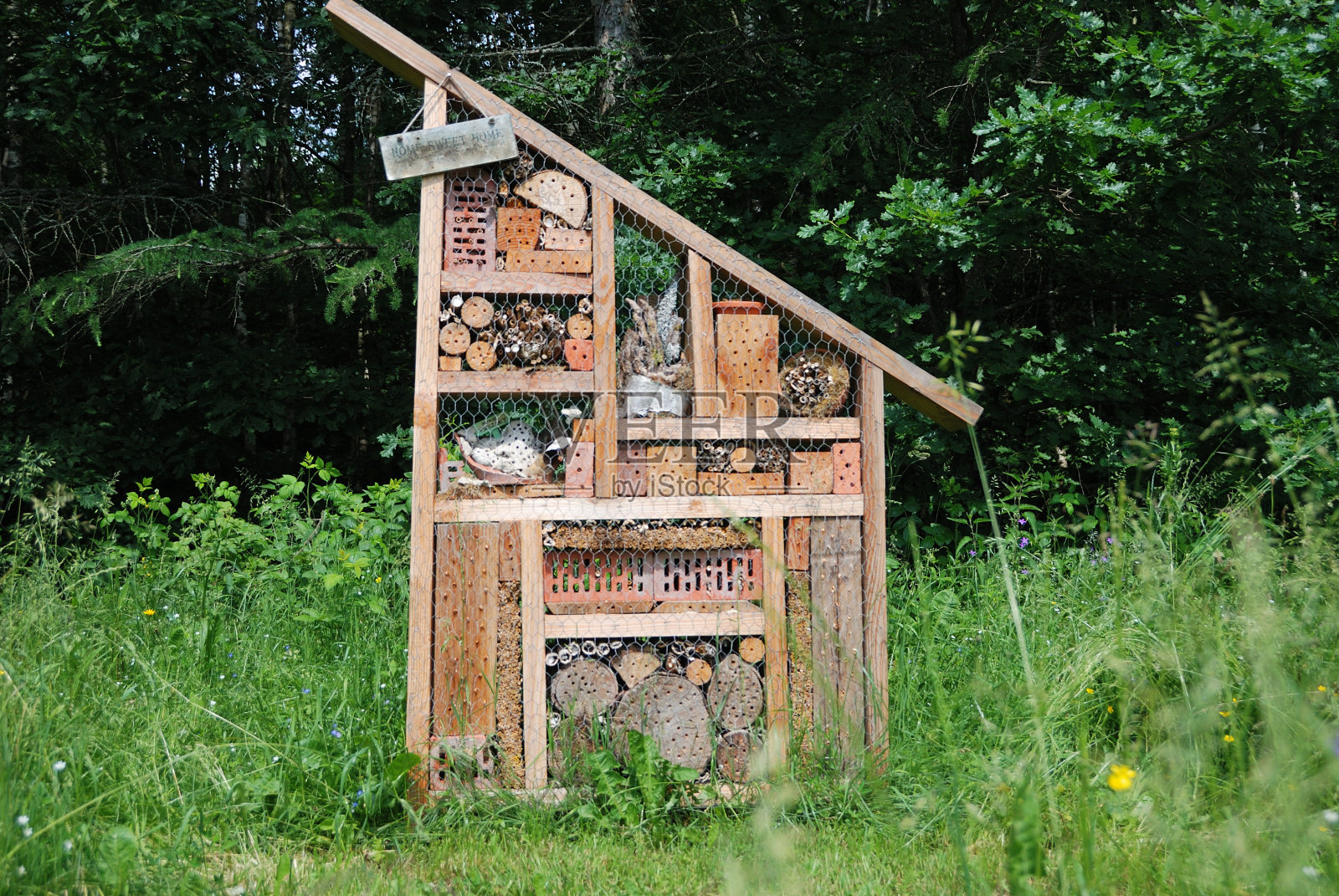 吸引传粉者的木制筑巢屋照片摄影图片