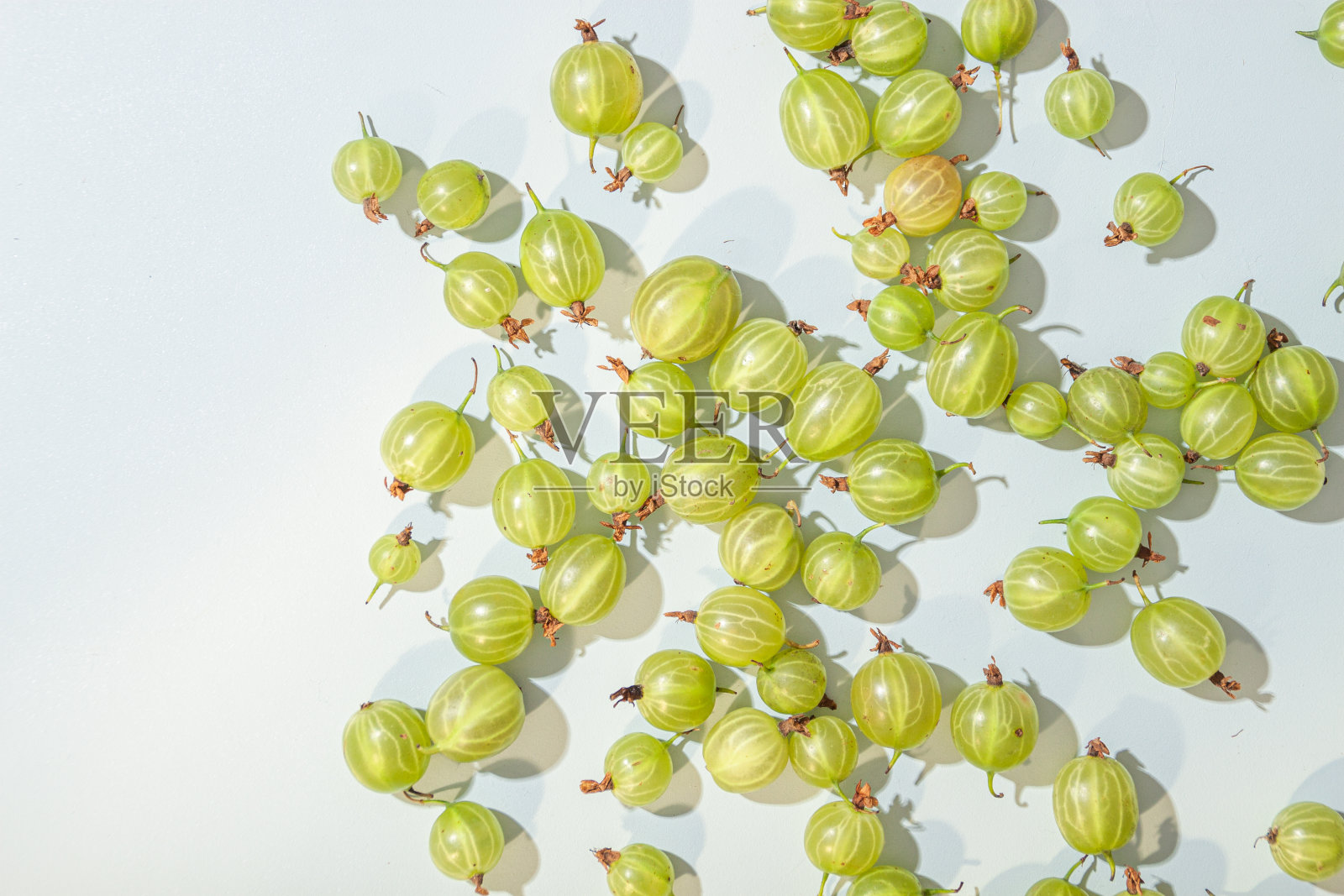 孤立在白色背景上的绿色醋栗照片摄影图片